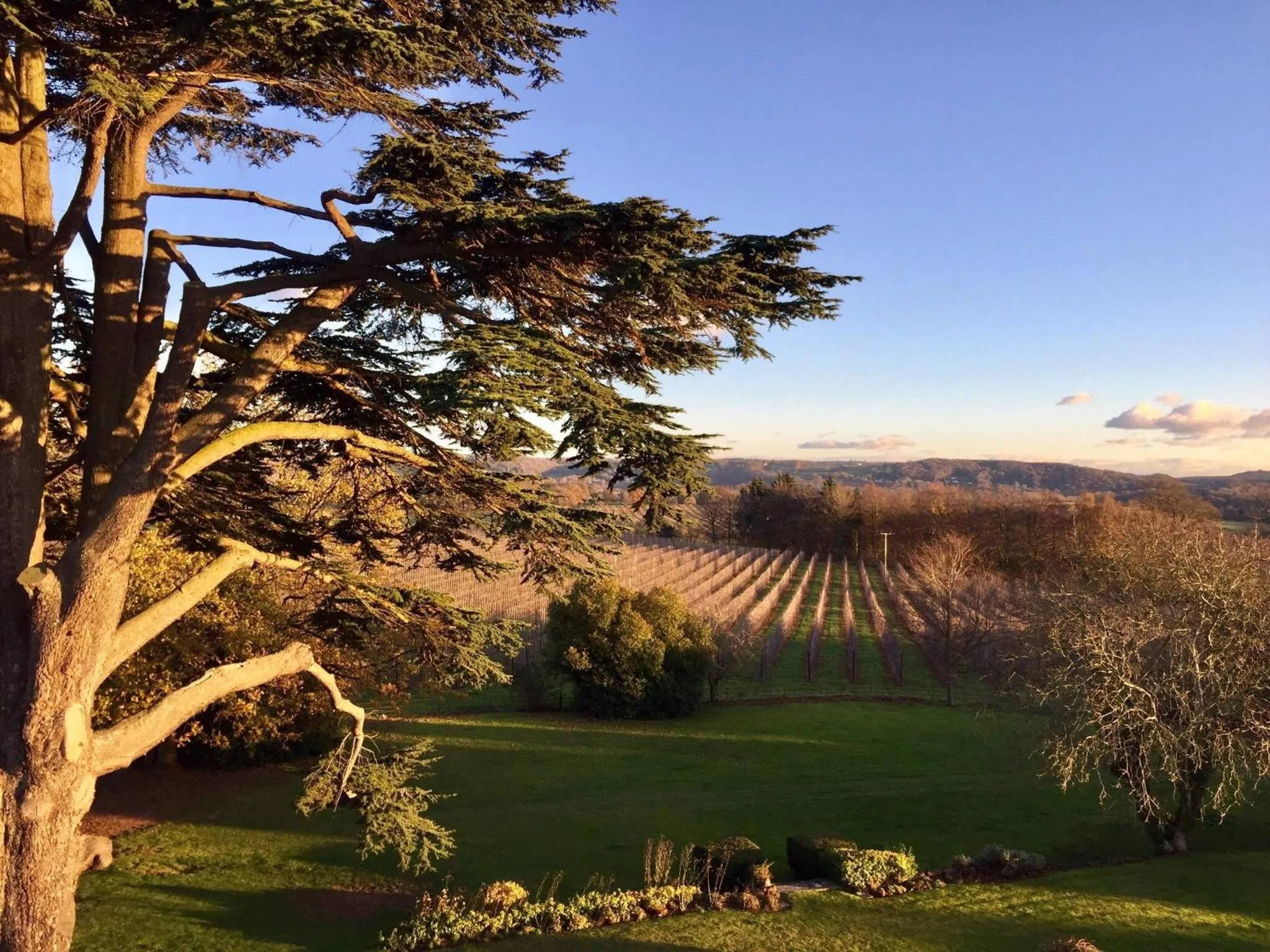 Garden view in Glewstone Court Country House Hotel