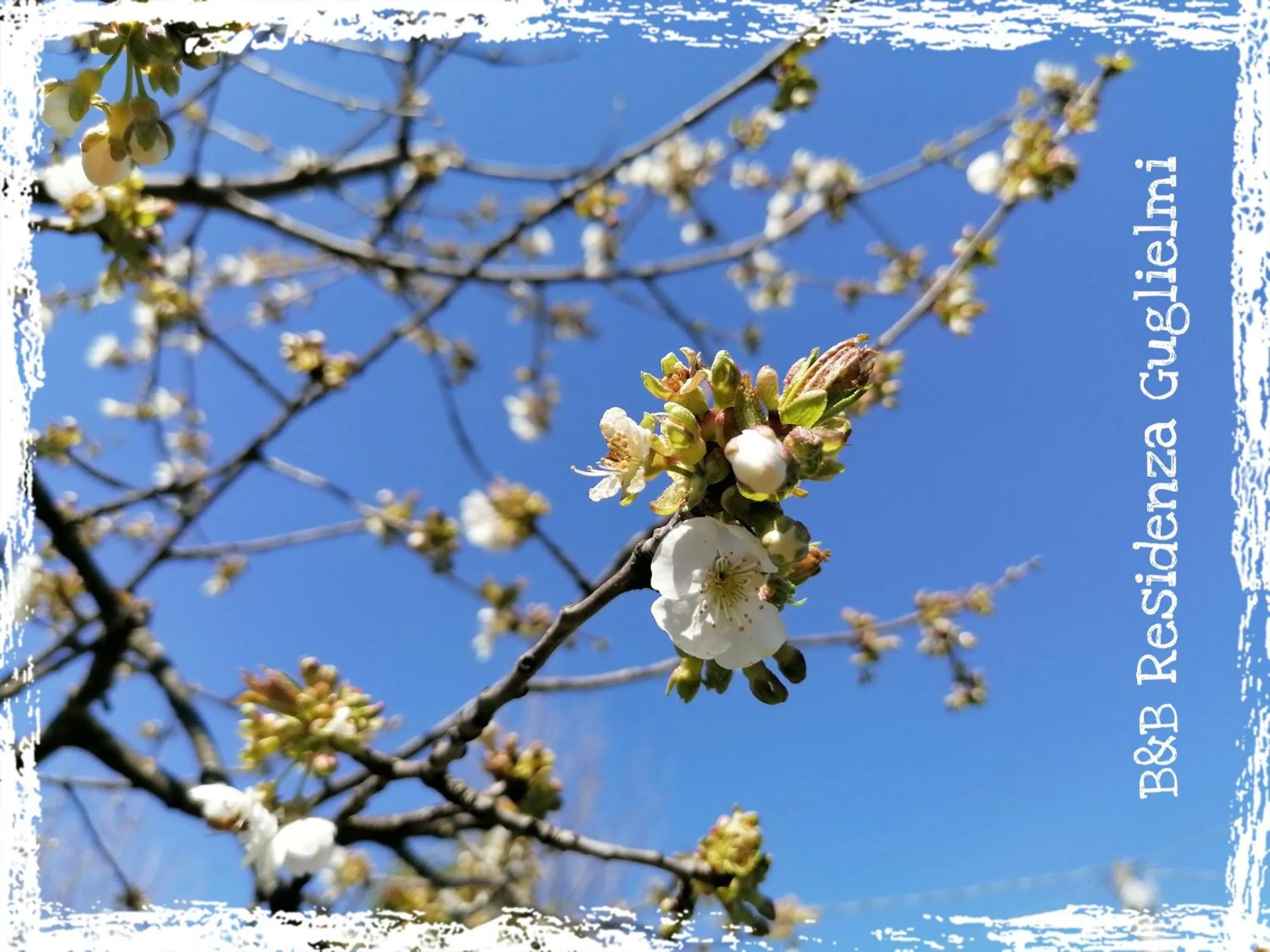 Spring in Residenza Guglielmi