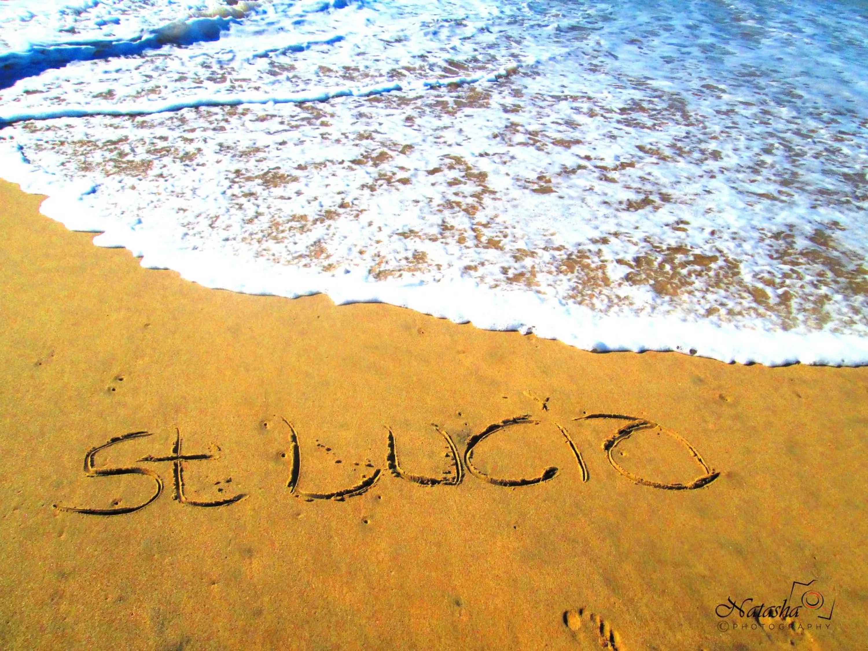 Beach in The Sandpiper