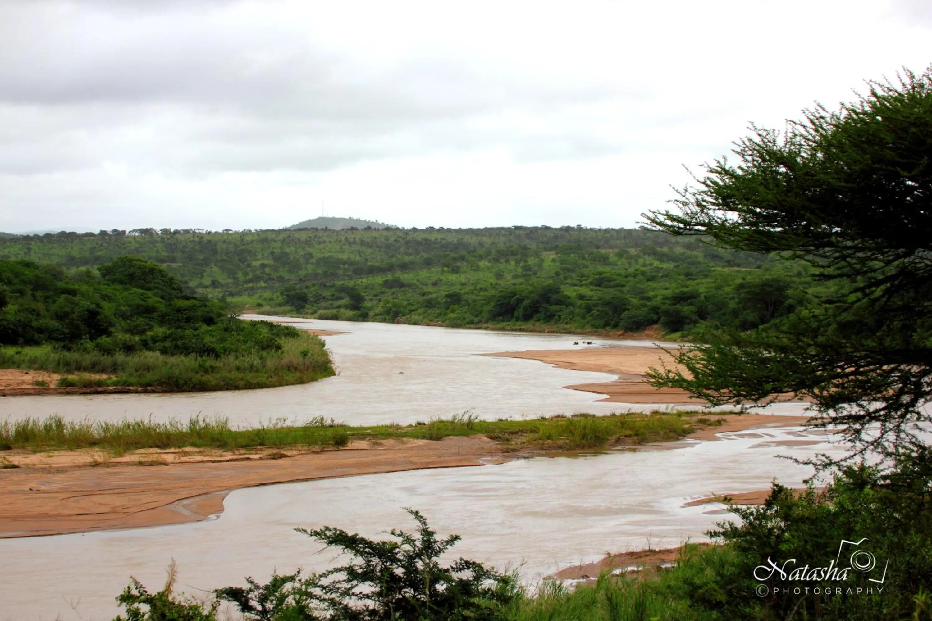 Neighbourhood in The Sandpiper