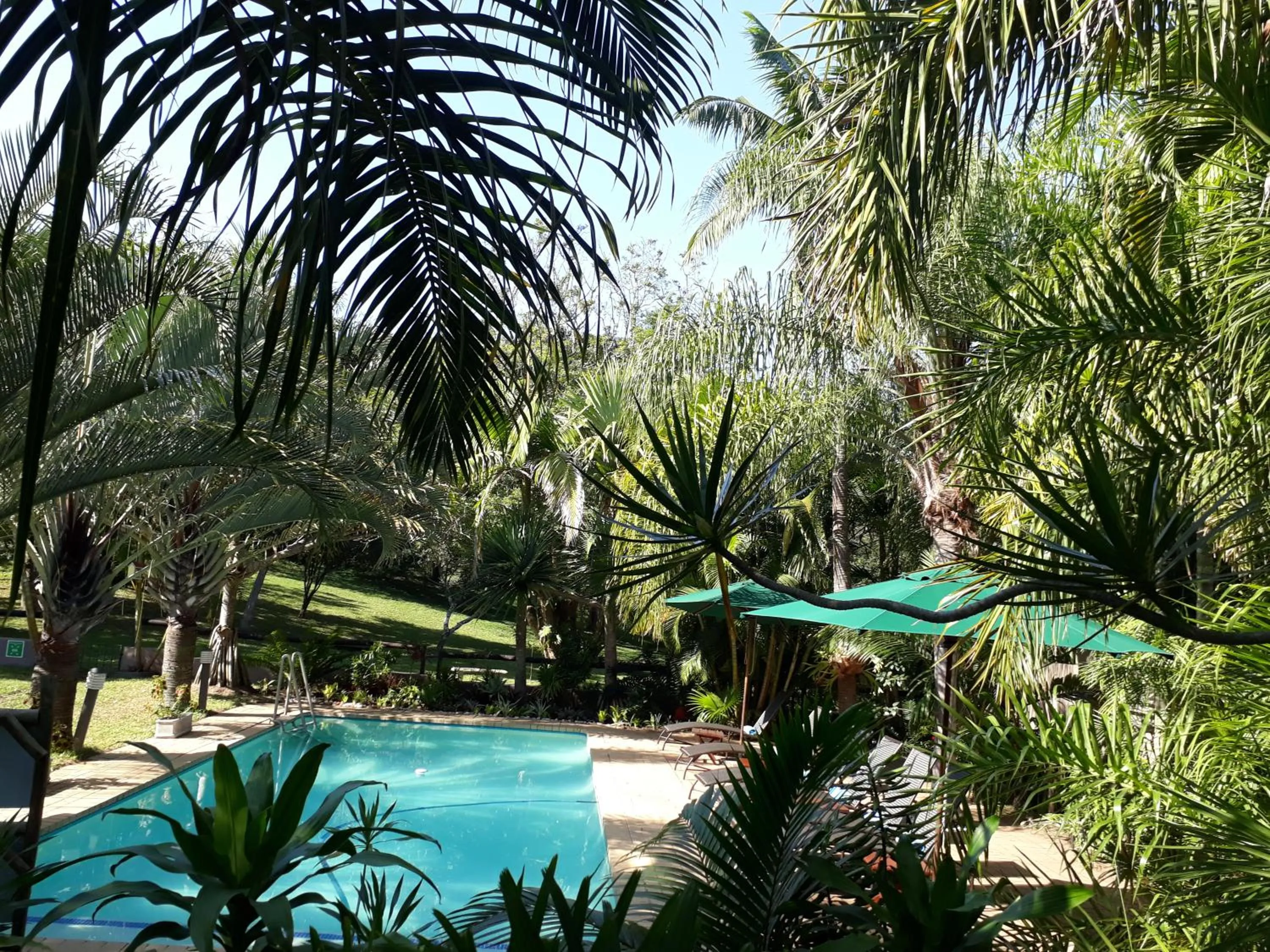 Garden in The Sandpiper