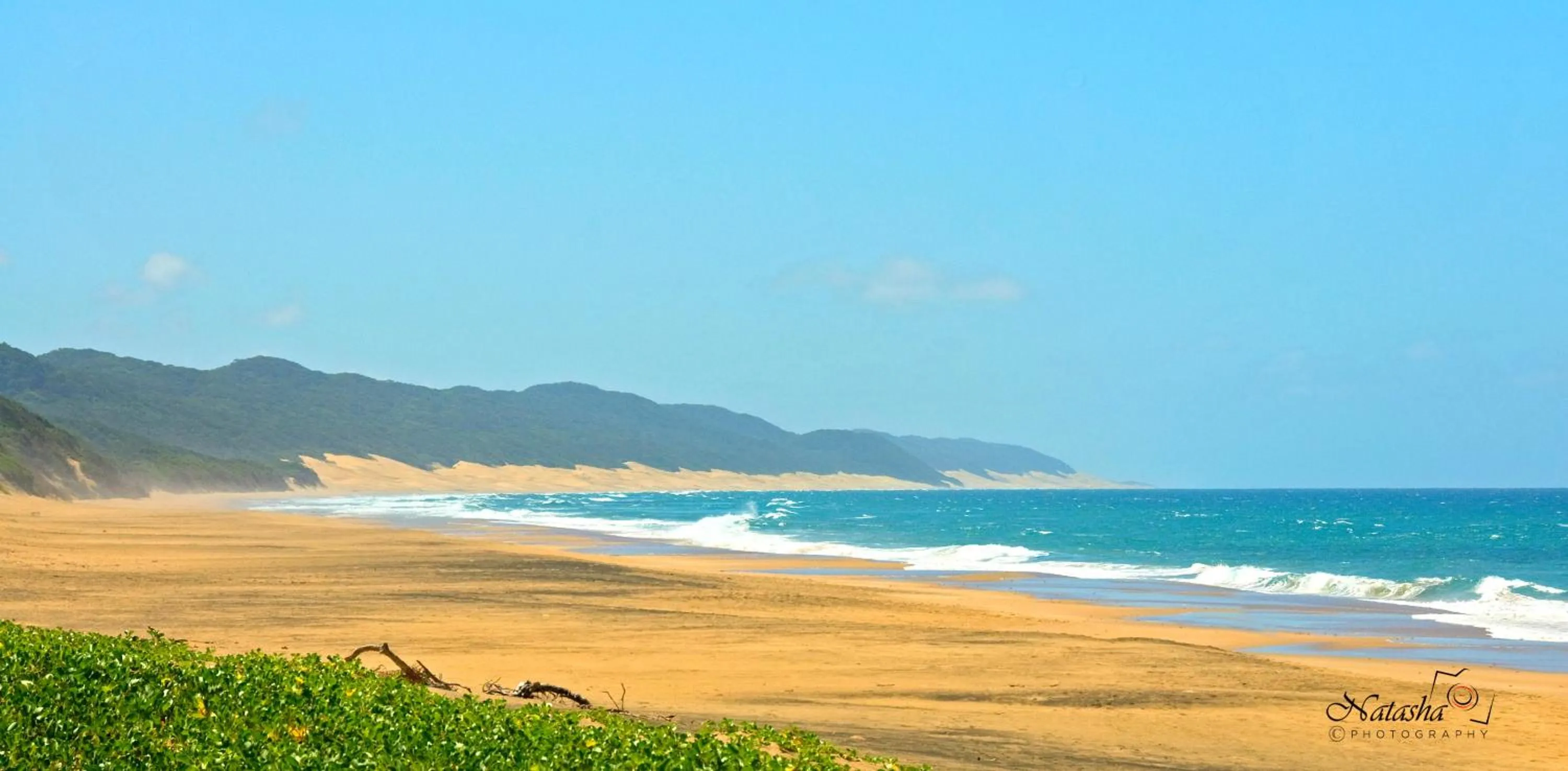 Beach in The Sandpiper