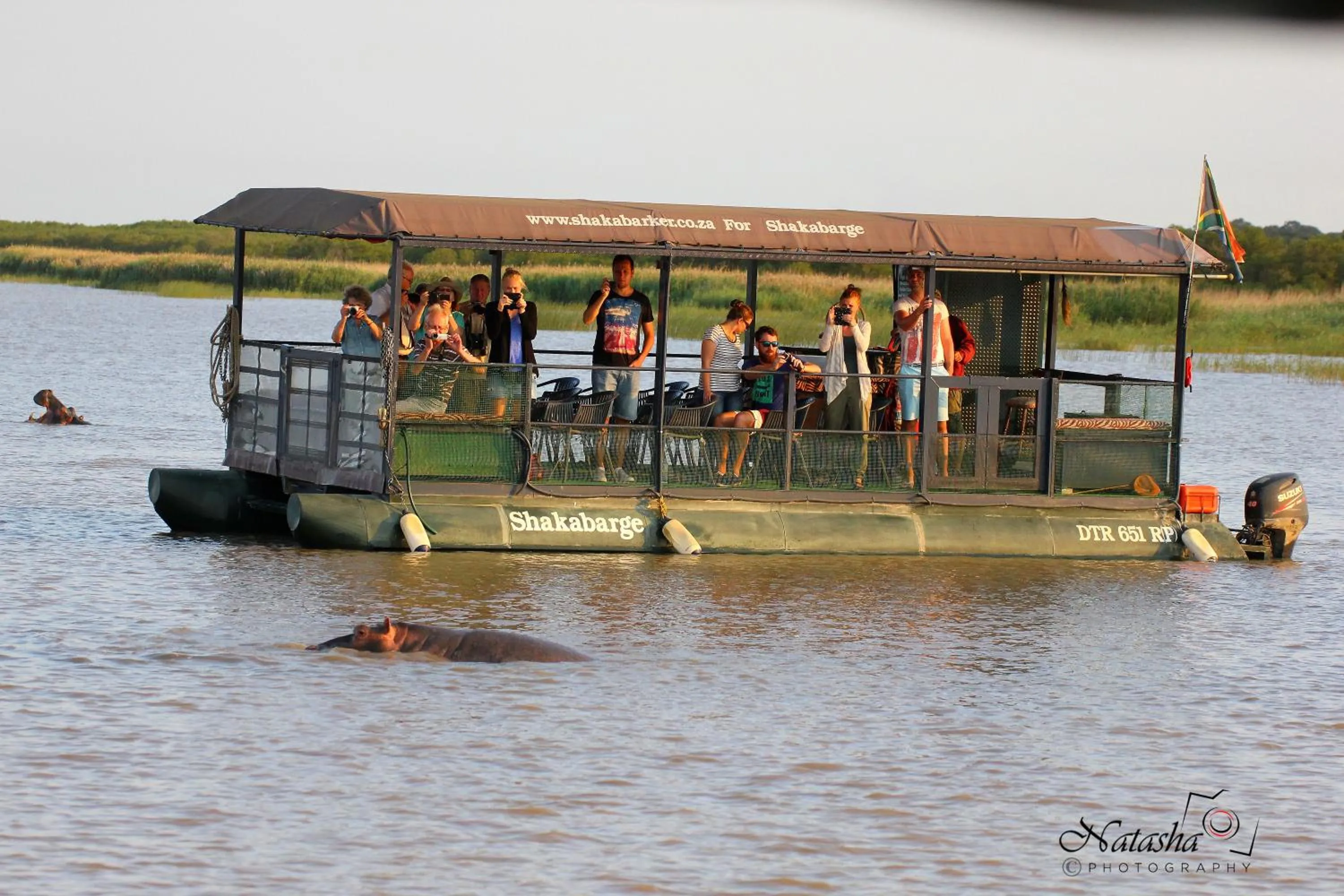 Activities in The Sandpiper