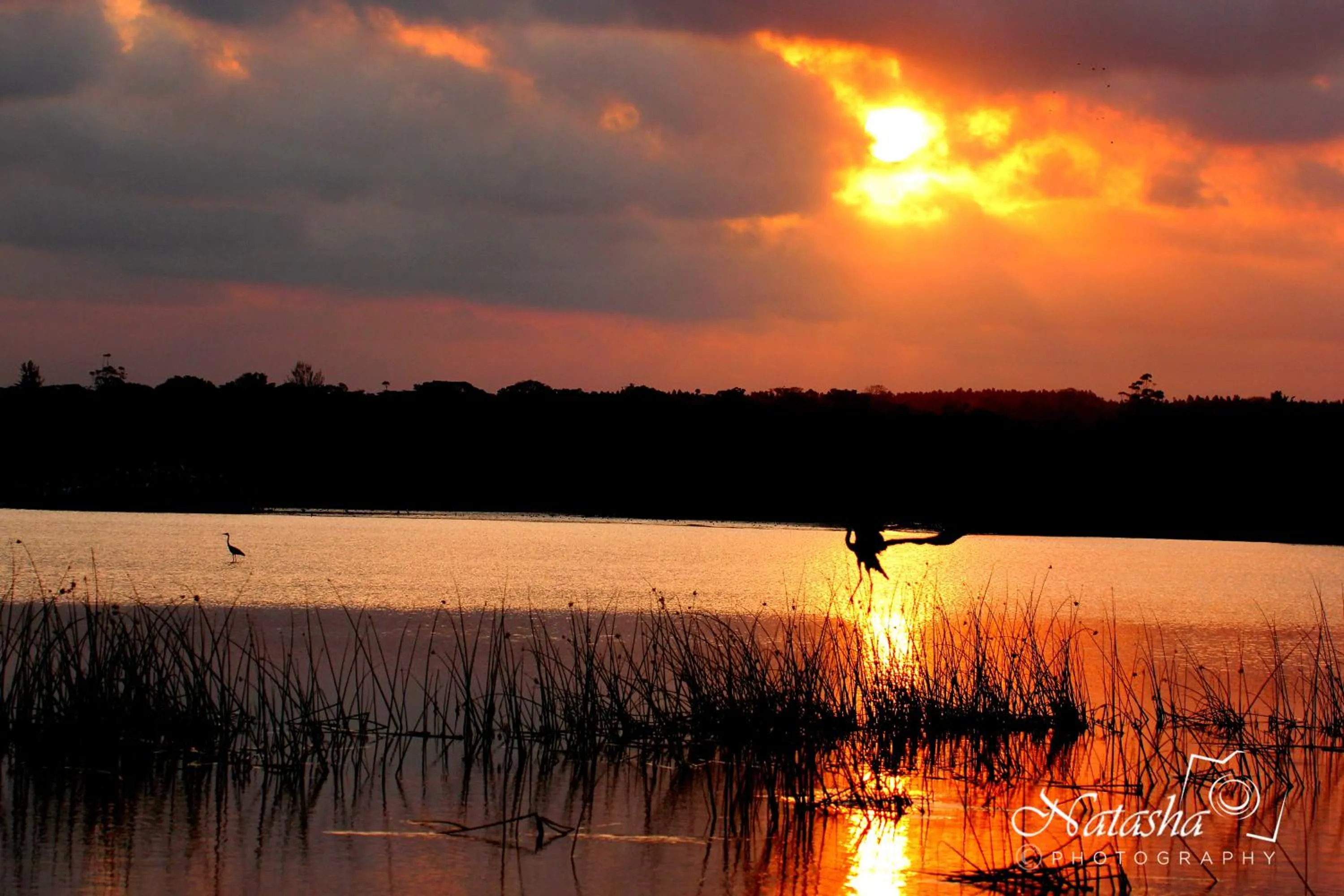 Natural landscape in The Sandpiper