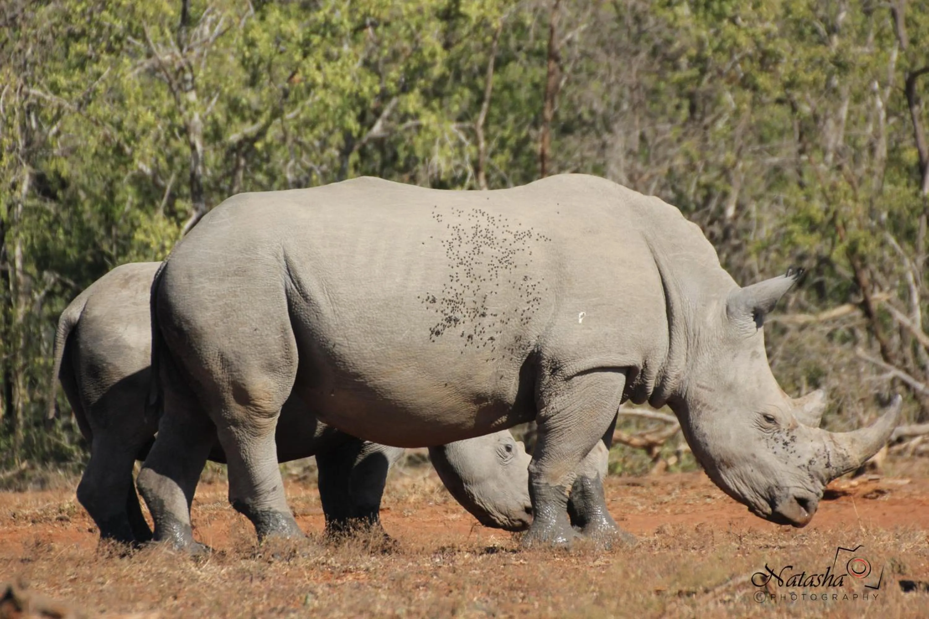Neighbourhood in The Sandpiper
