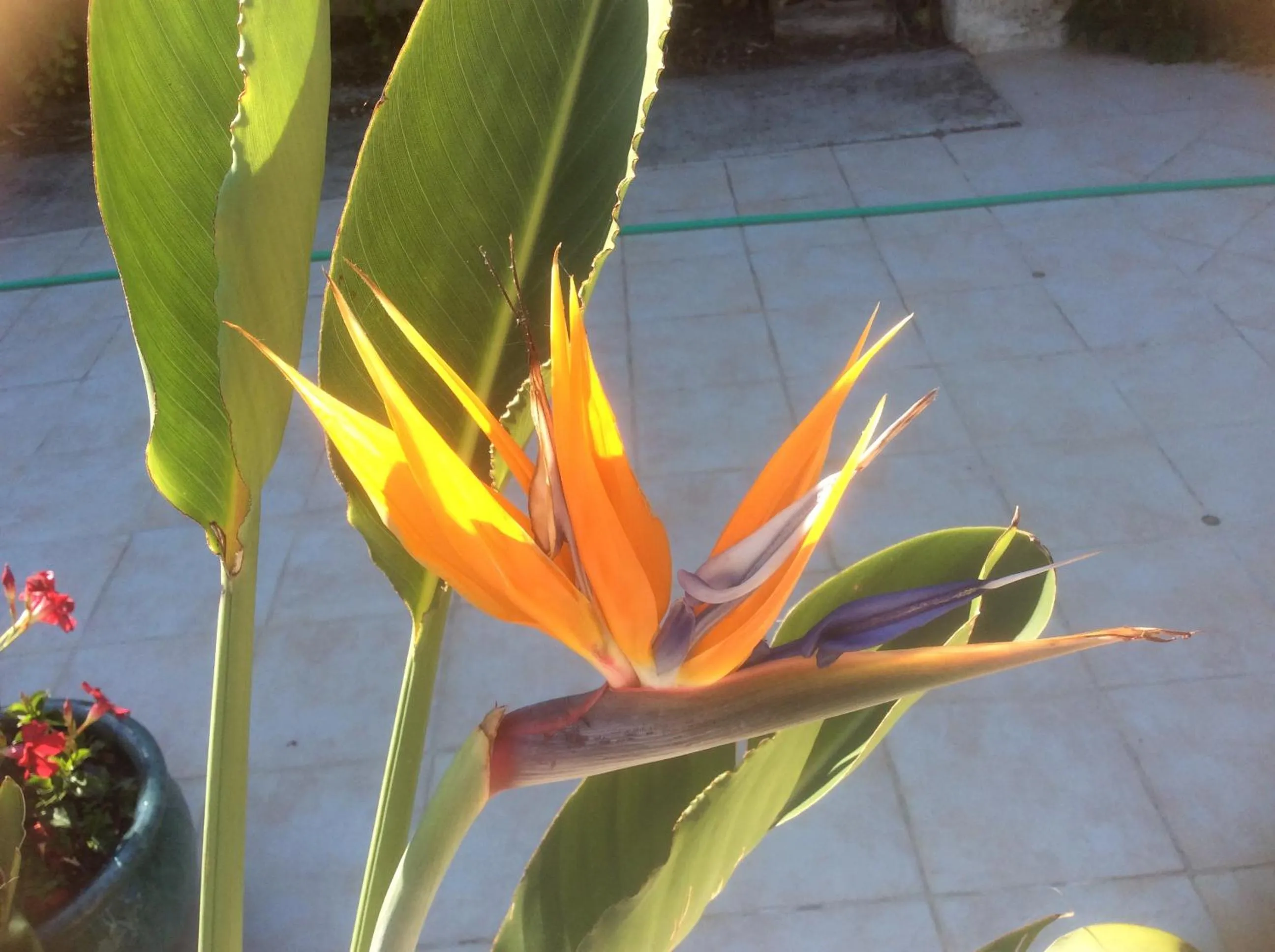 Summer in B&B Maison Brora