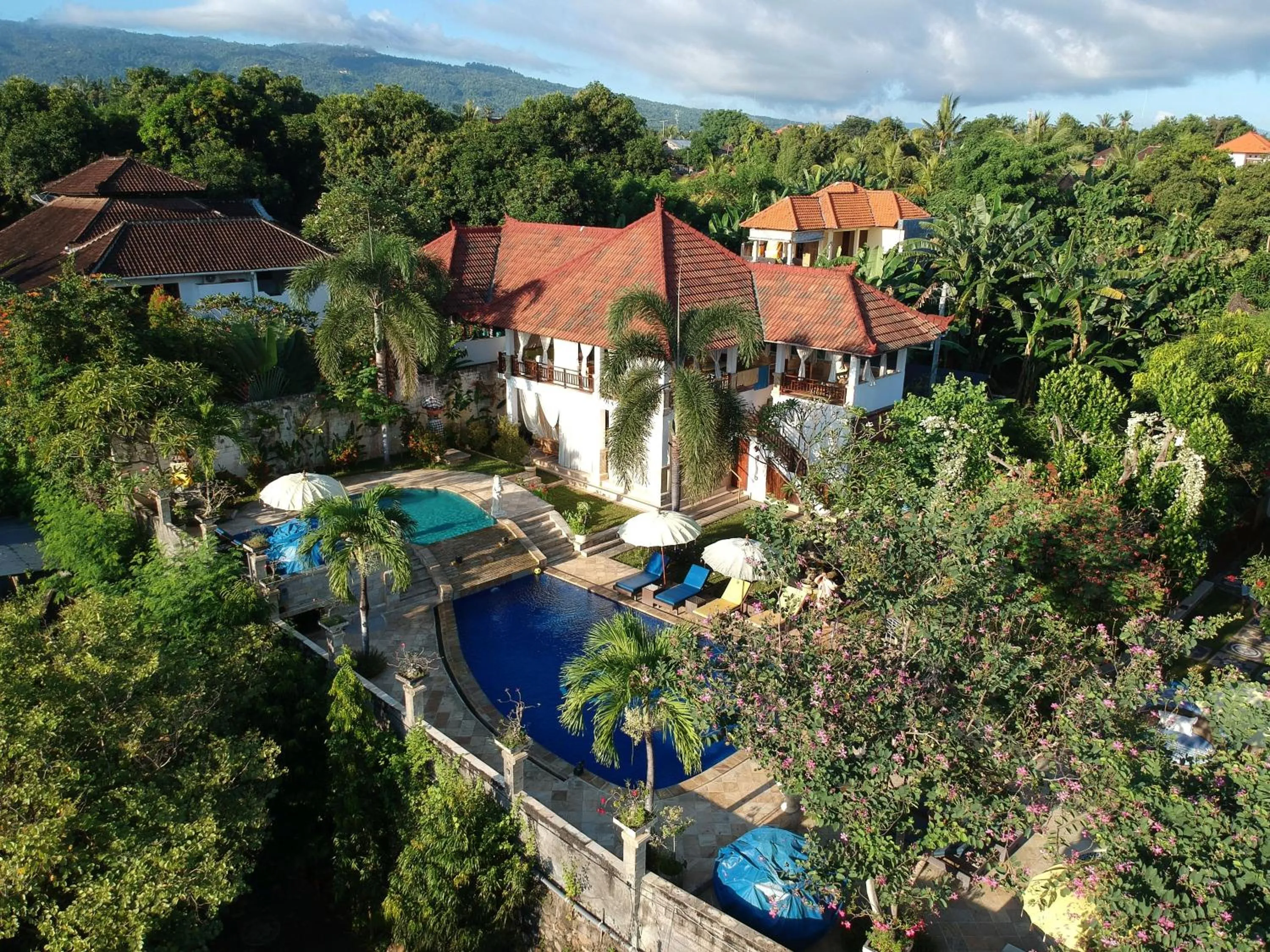 Natural landscape in Villa Jakaranda and Villa Marakuya