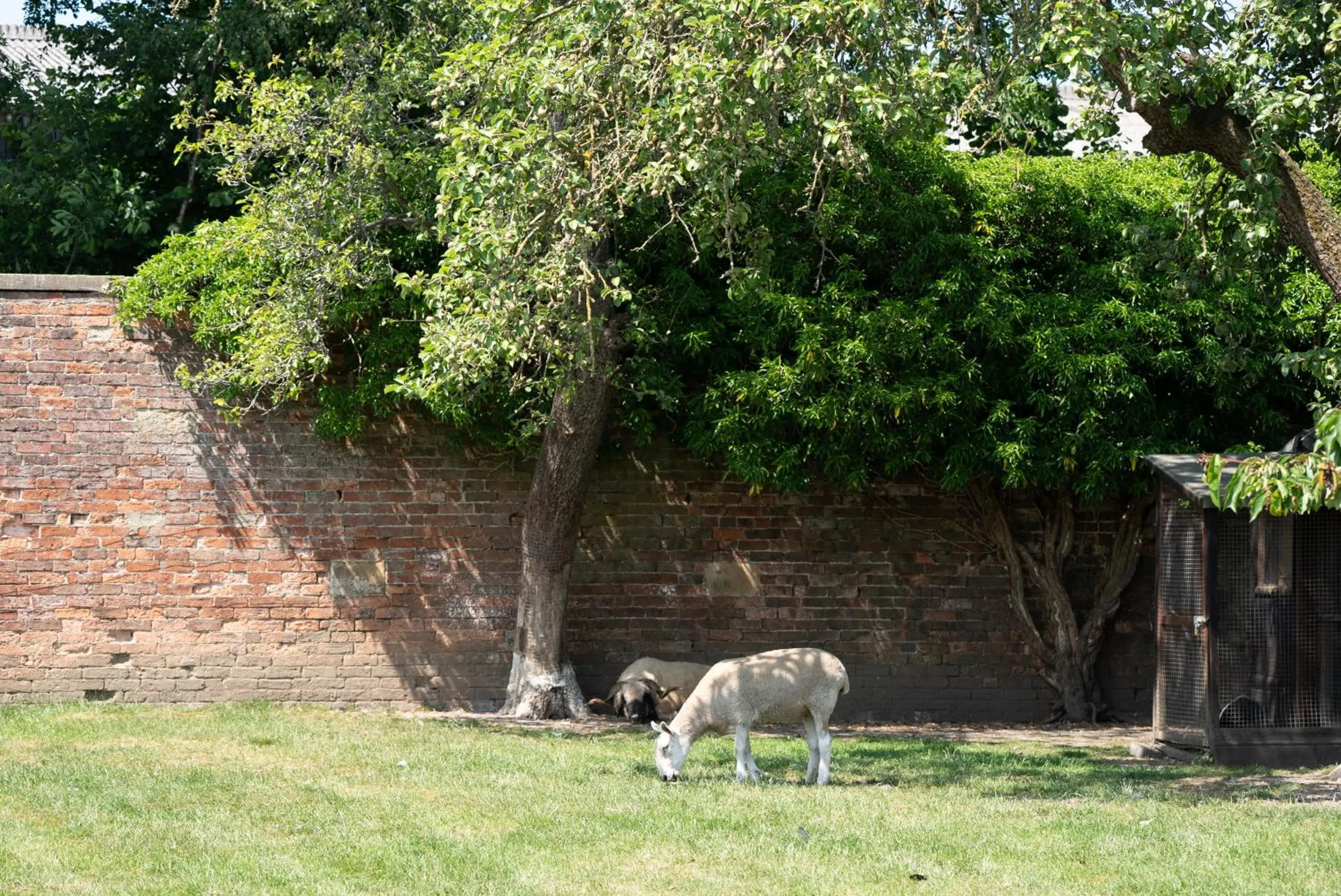 Oakerthorpe Holiday Village