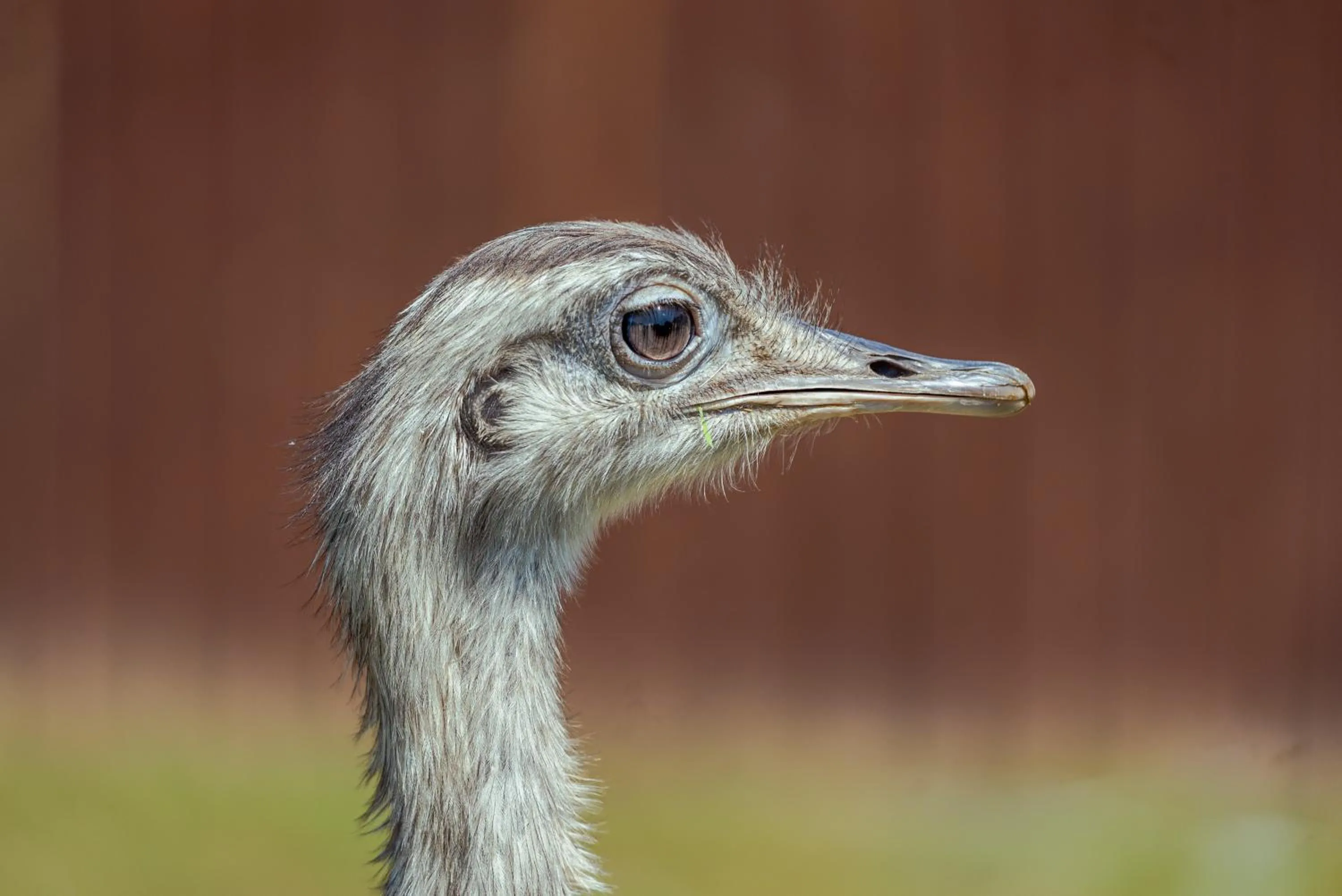 Oakerthorpe Holiday Village