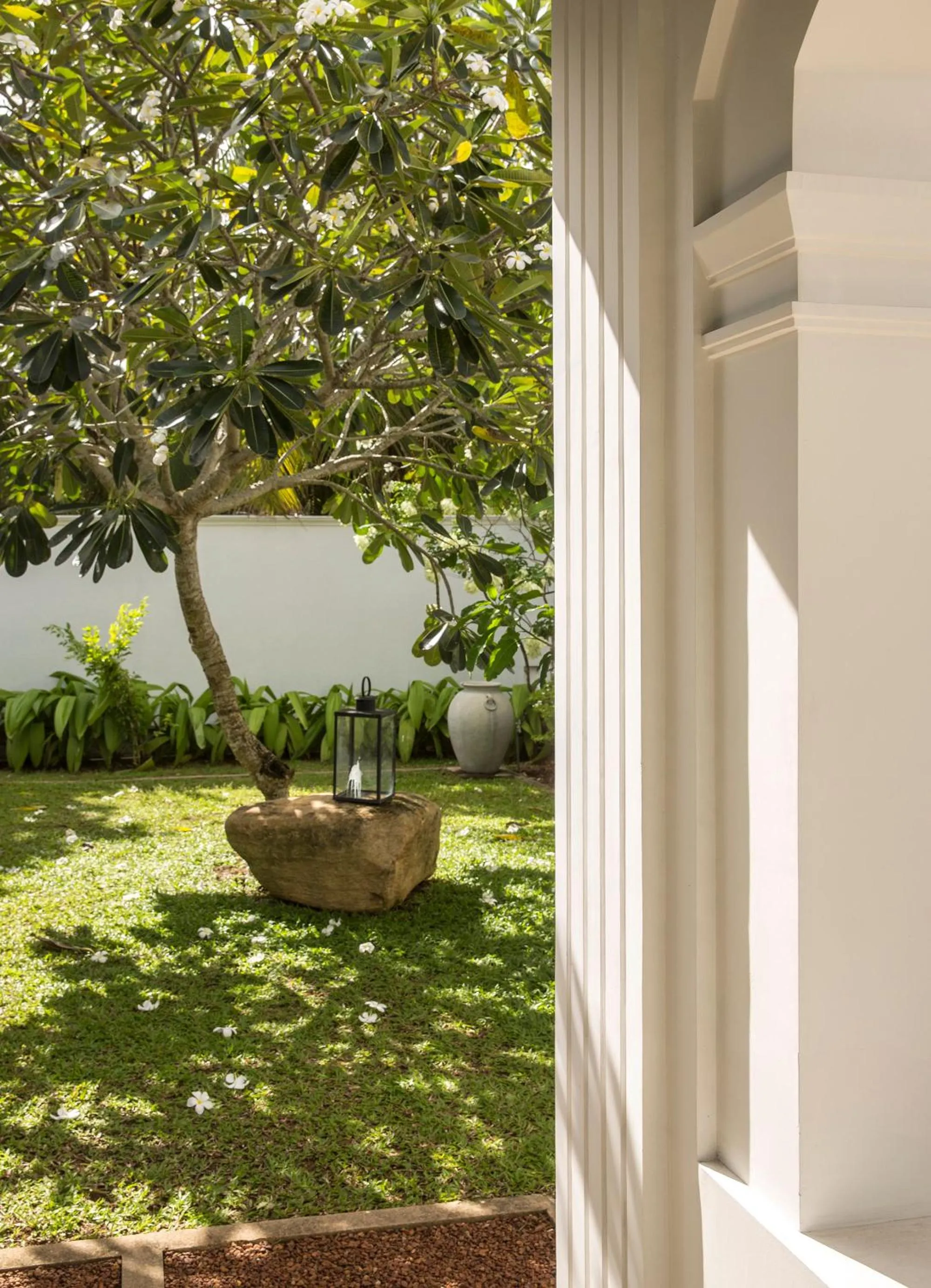 Garden in Green Casa