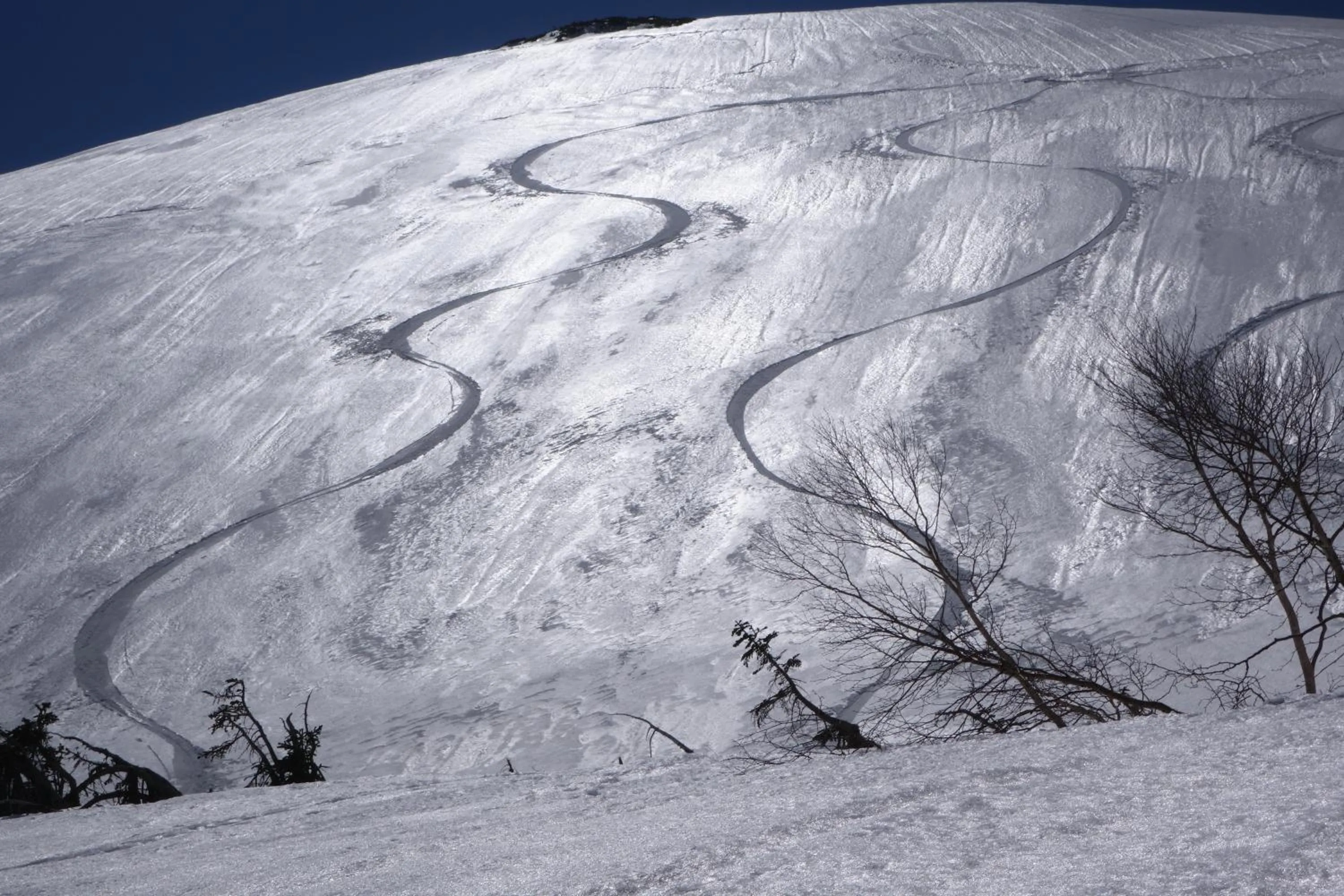 Skiing in Schole Hakuba
