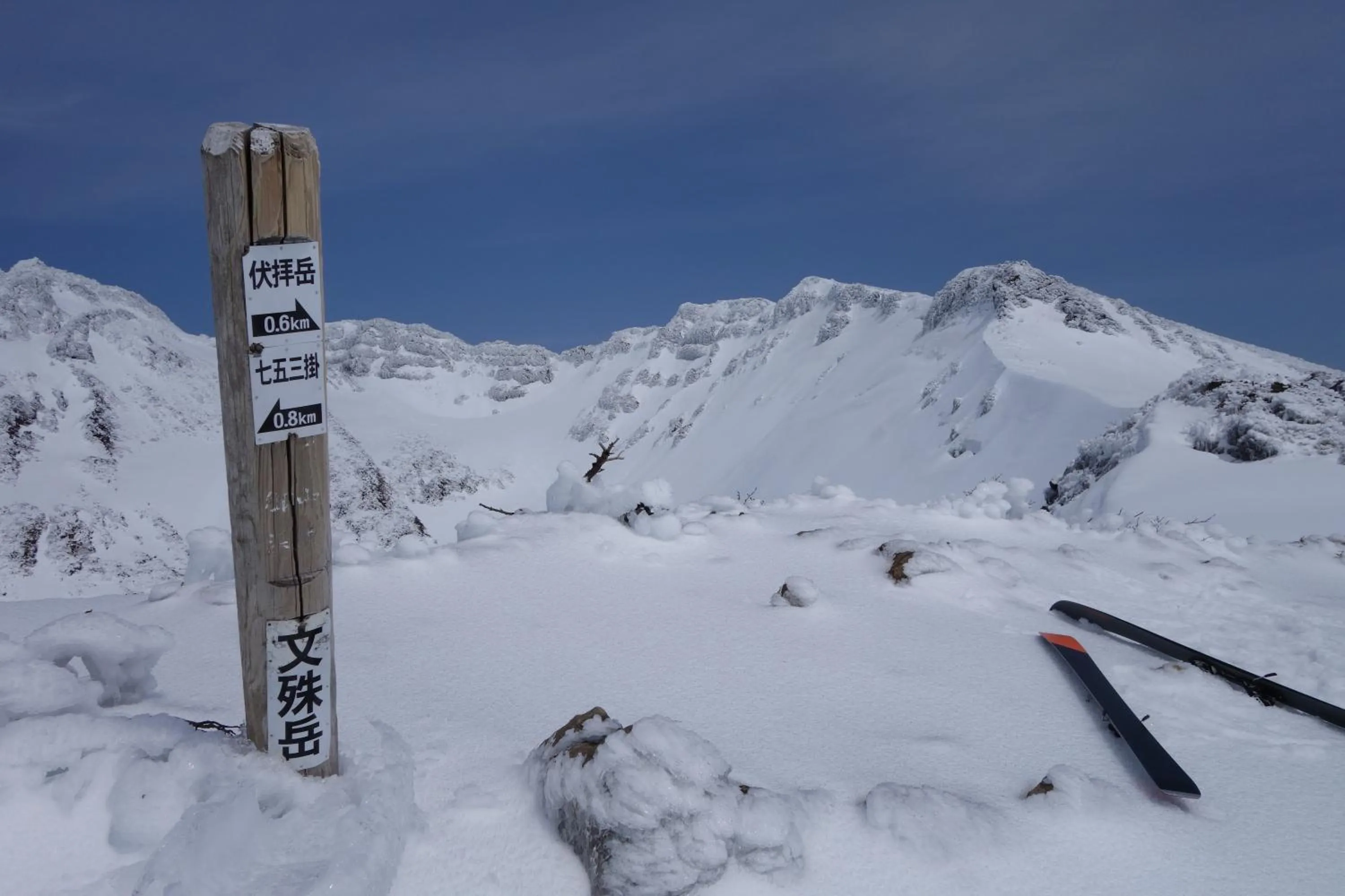 Skiing in Schole Hakuba