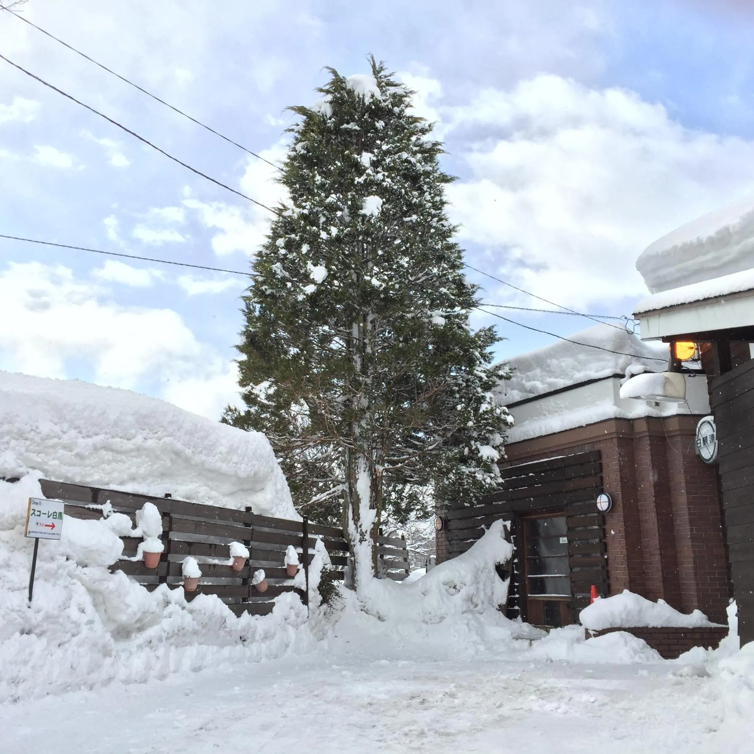 Facade/entrance in Schole Hakuba
