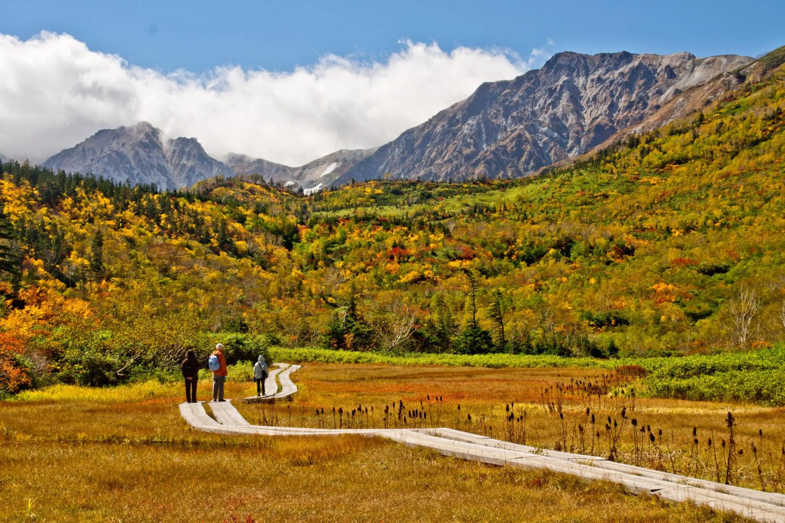 Off site in Schole Hakuba