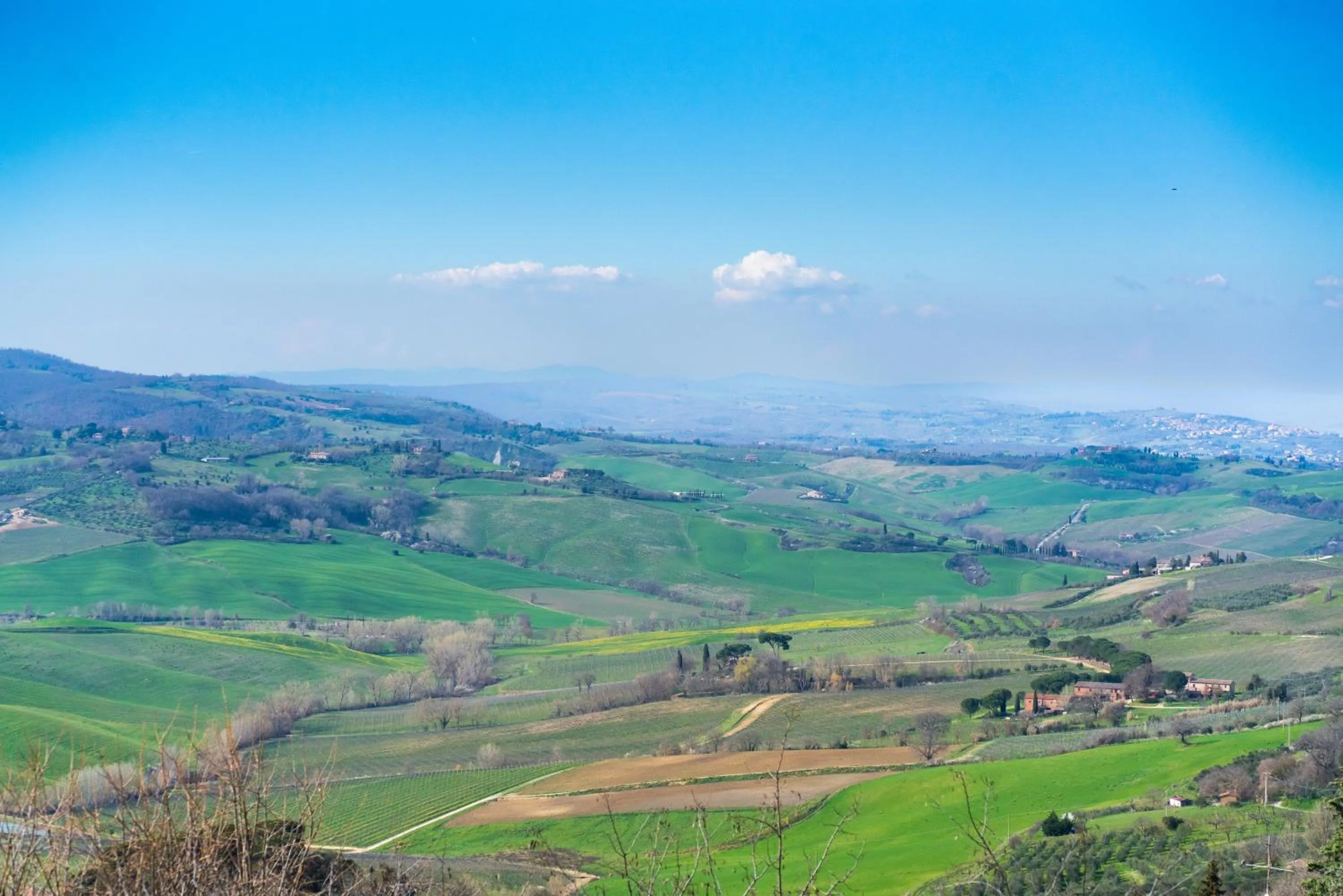 Spring in Palazzo Mosela Alla Porta
