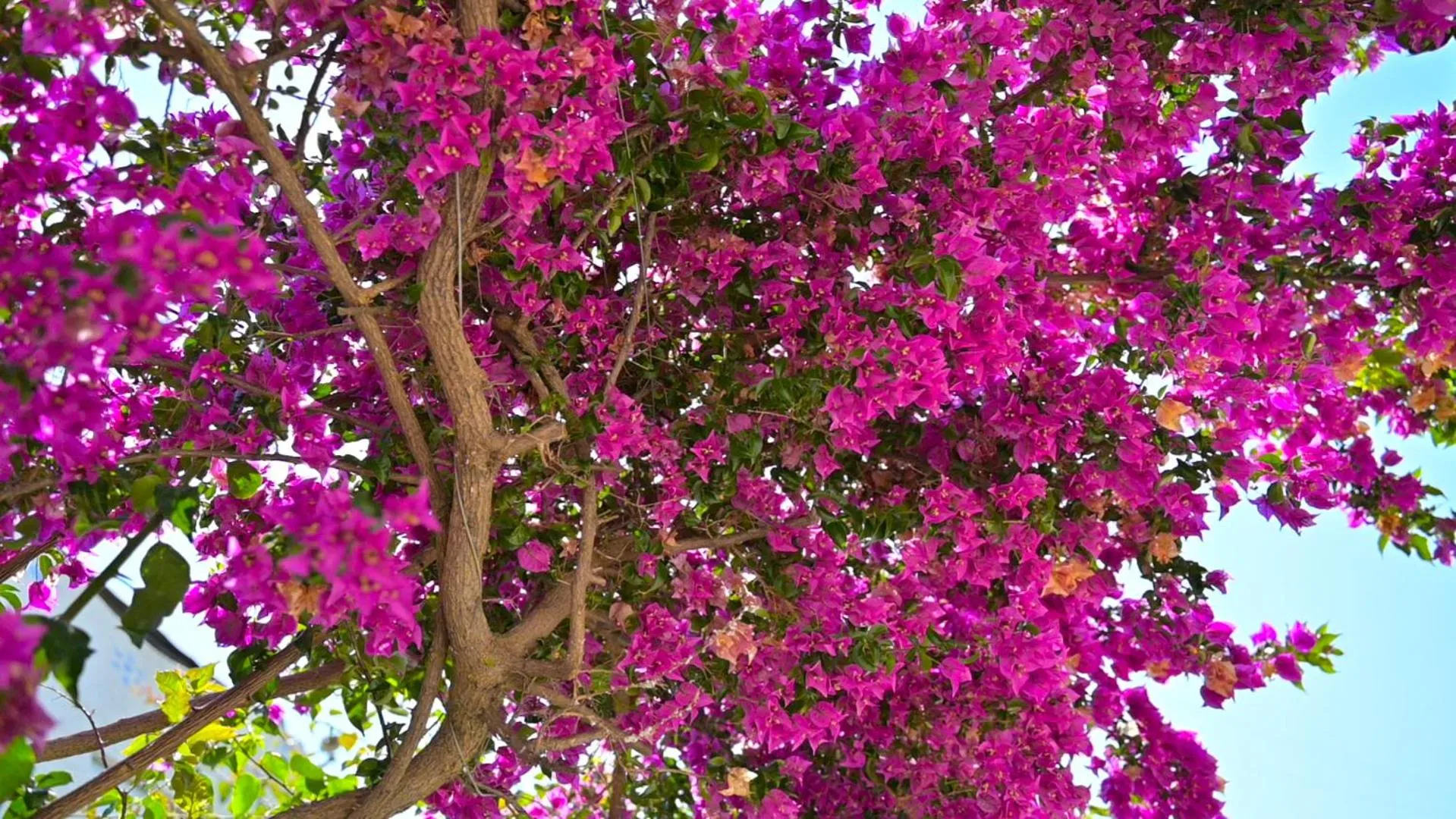 Property building in Bougainville Bay Hotel