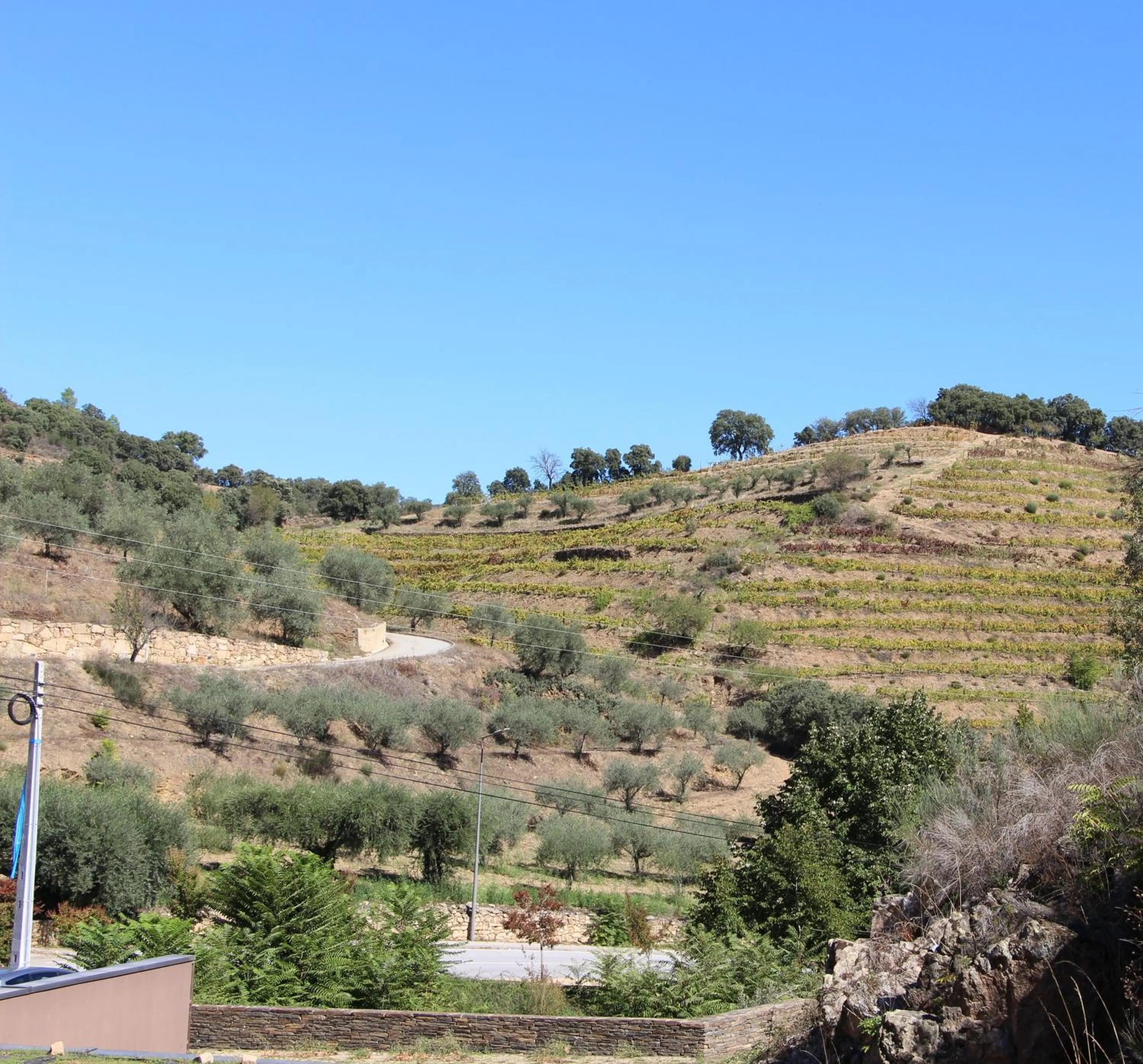 Mountain view in Longroiva Hotel Rural