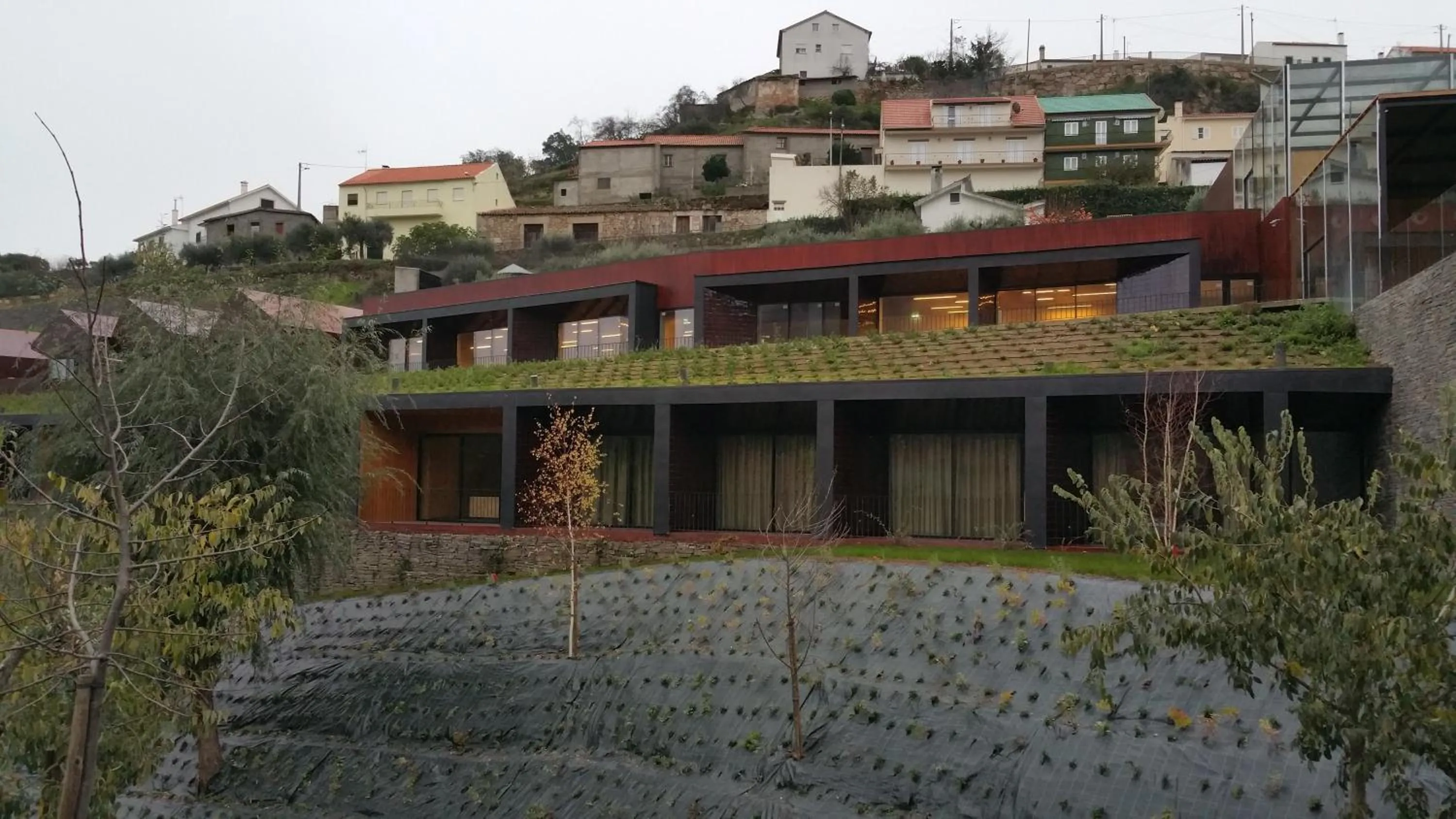 Facade/entrance in Longroiva Hotel Rural