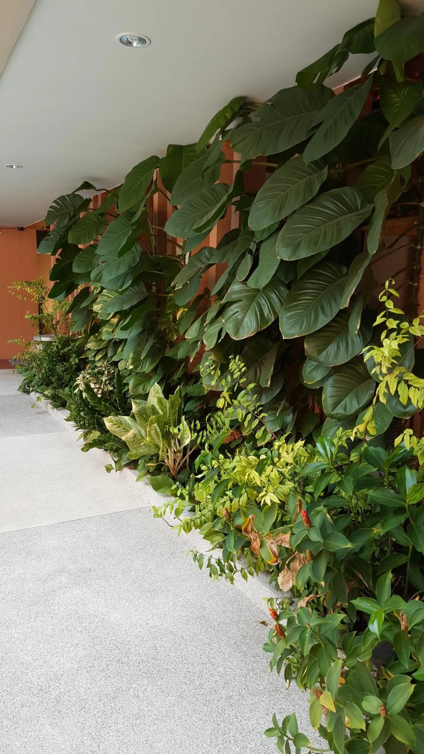 Juntima Place at Amphawa