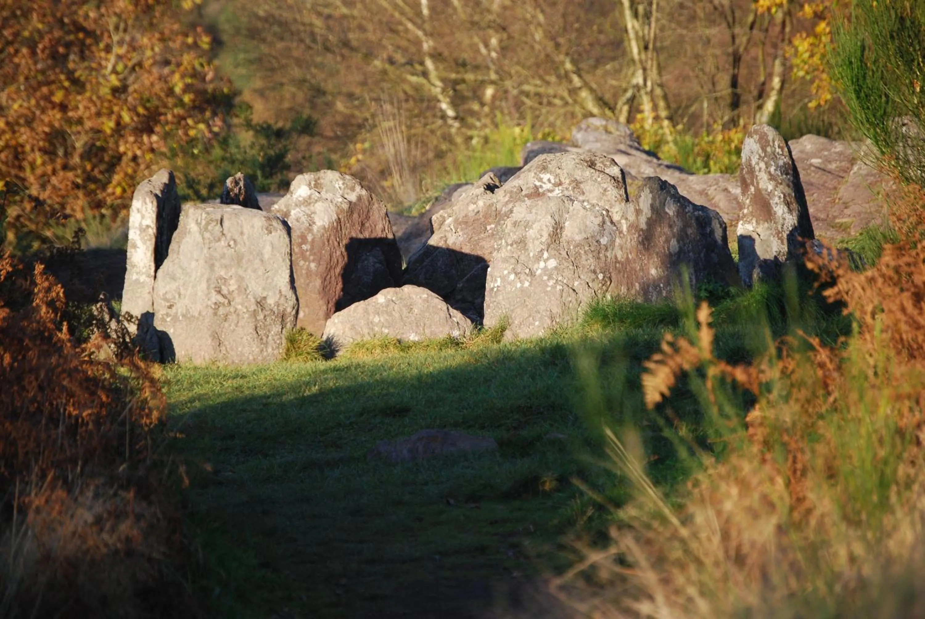Natural landscape in Kerarz - Chambre d'hôtes