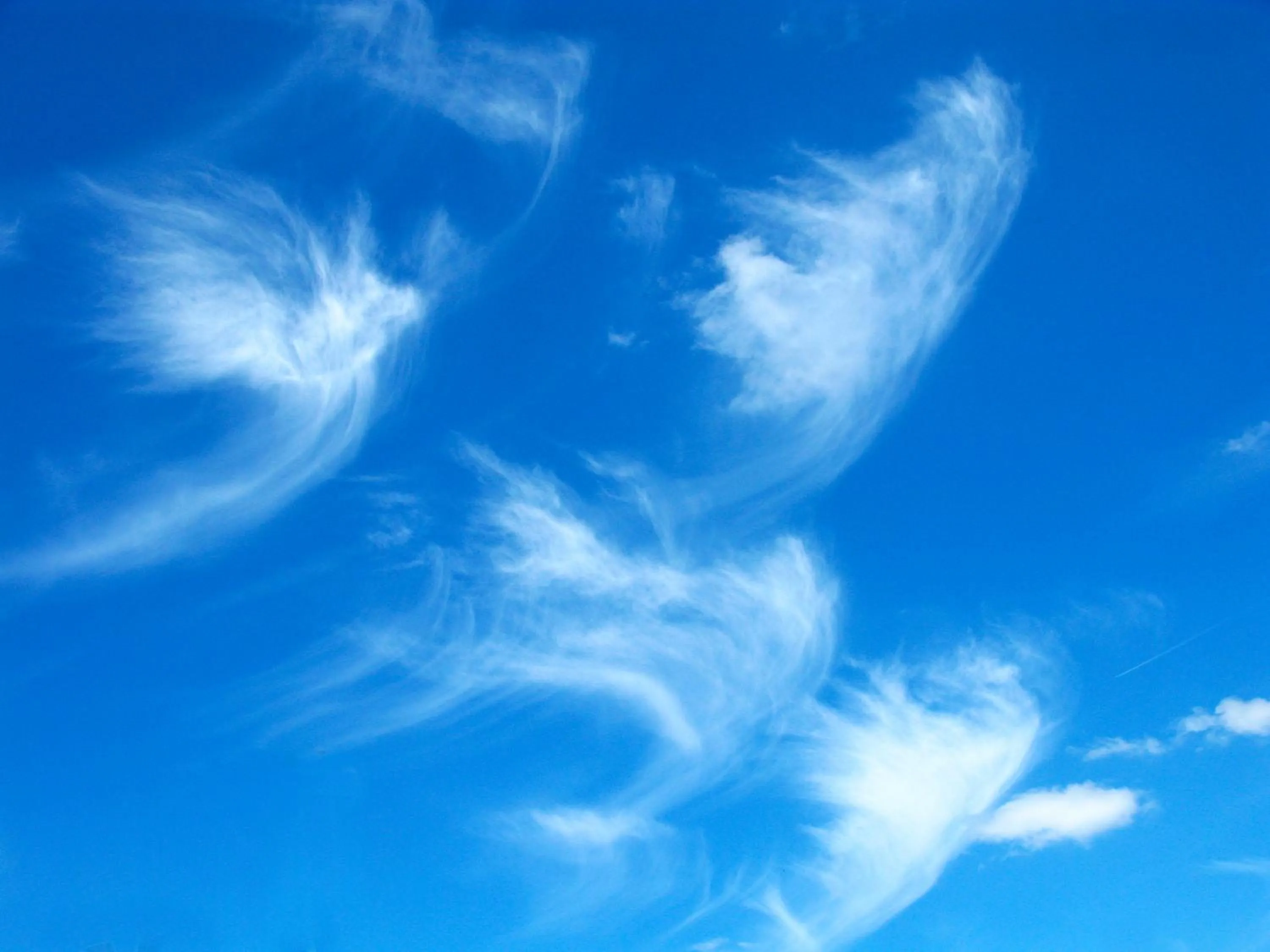 View (from property/room) in Kerarz - Chambre d'hôtes