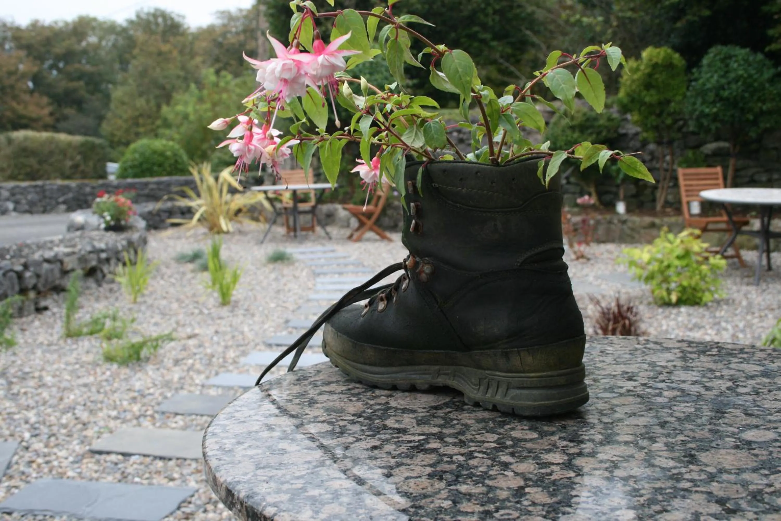 Garden in Hazelwood Lodge