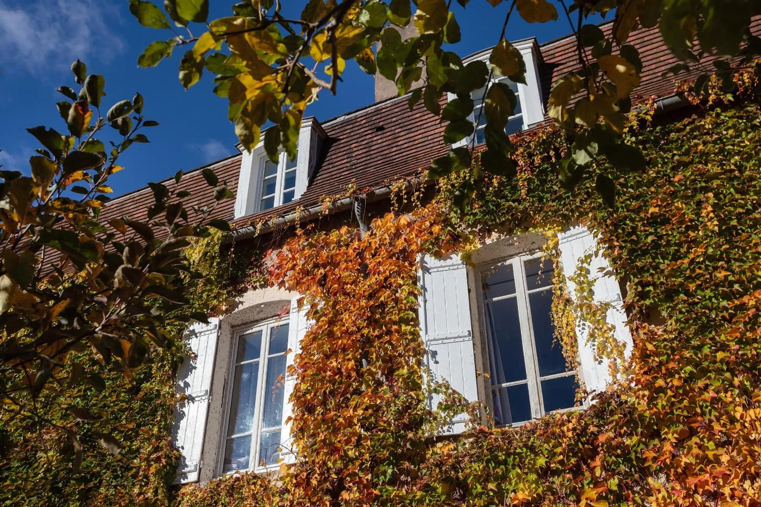 Property building in Moulin Renaudiots - Escapade Luxe Refuge cosy & Bourgogne au coin du feu