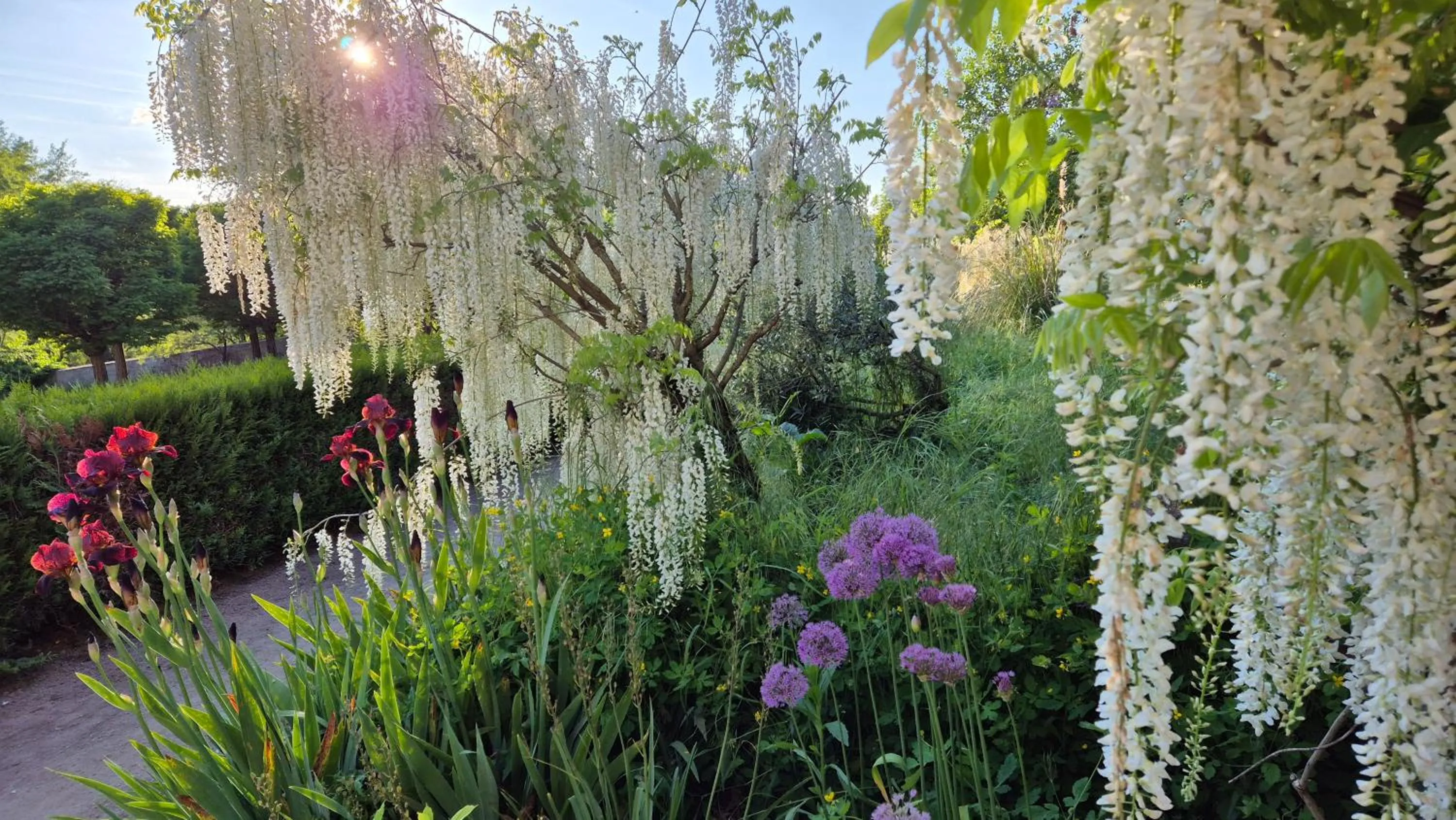 Garden in Moulin Renaudiots - Escapade Luxe Refuge cosy & Bourgogne au coin du feu