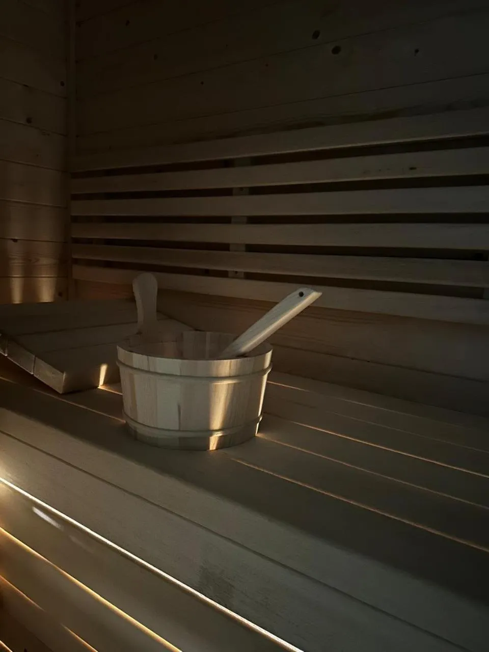 Sauna in Hotel Queen