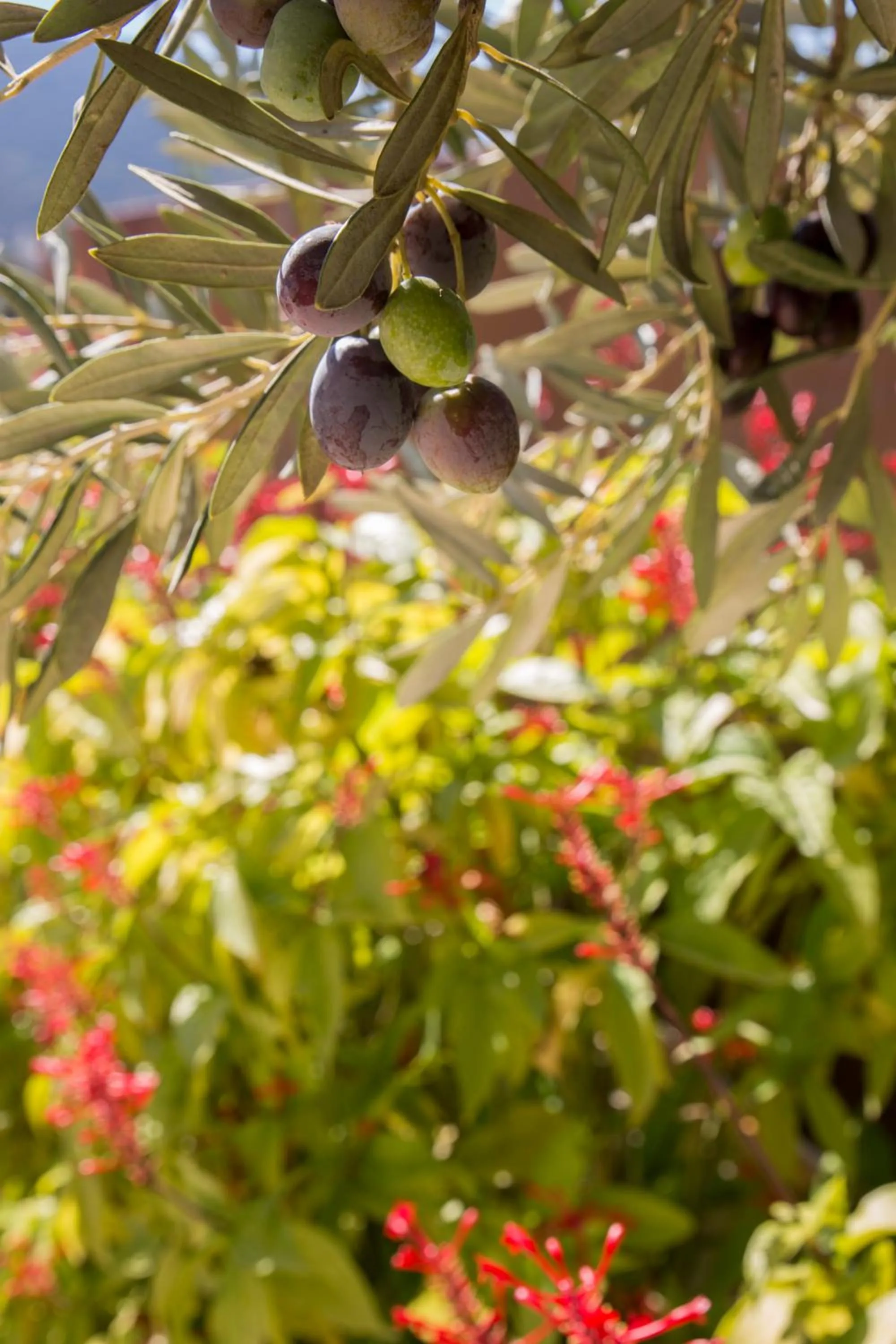 Day in Infinity White Complex by GK Properties