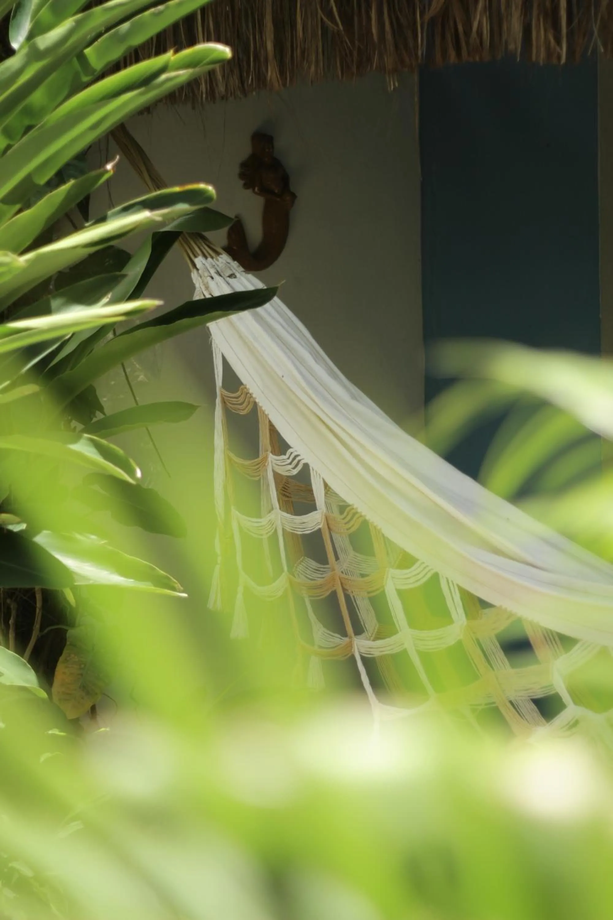 Day in Pousada Nascente do Sol