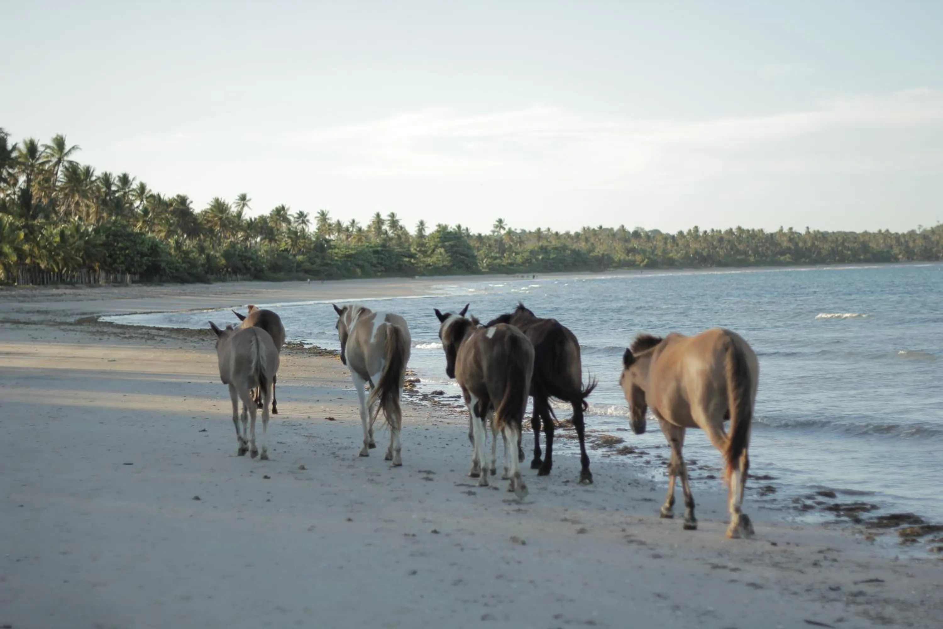 Natural landscape in Pousada Nascente do Sol