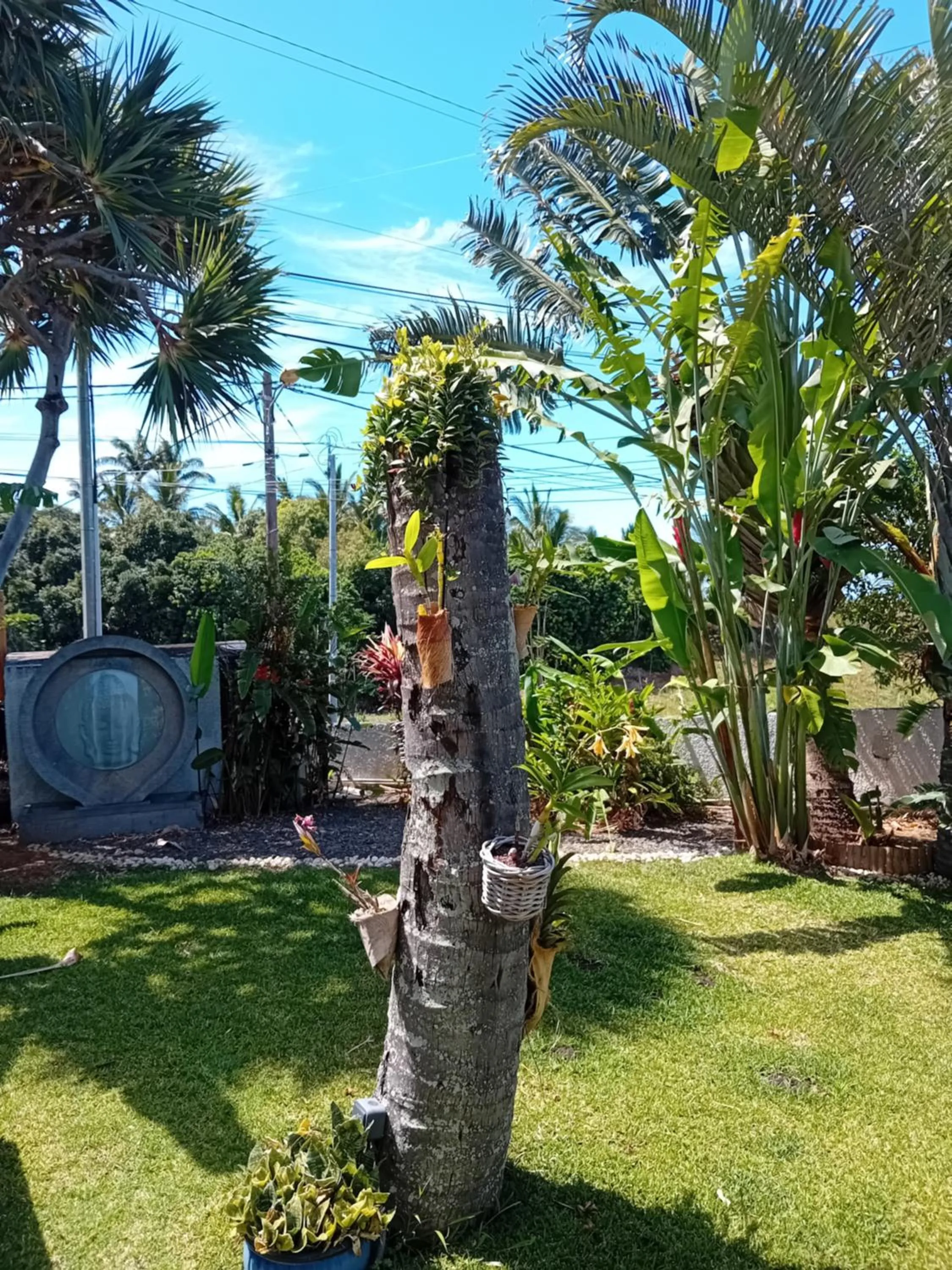 Garden in Villa Belza et SPA
