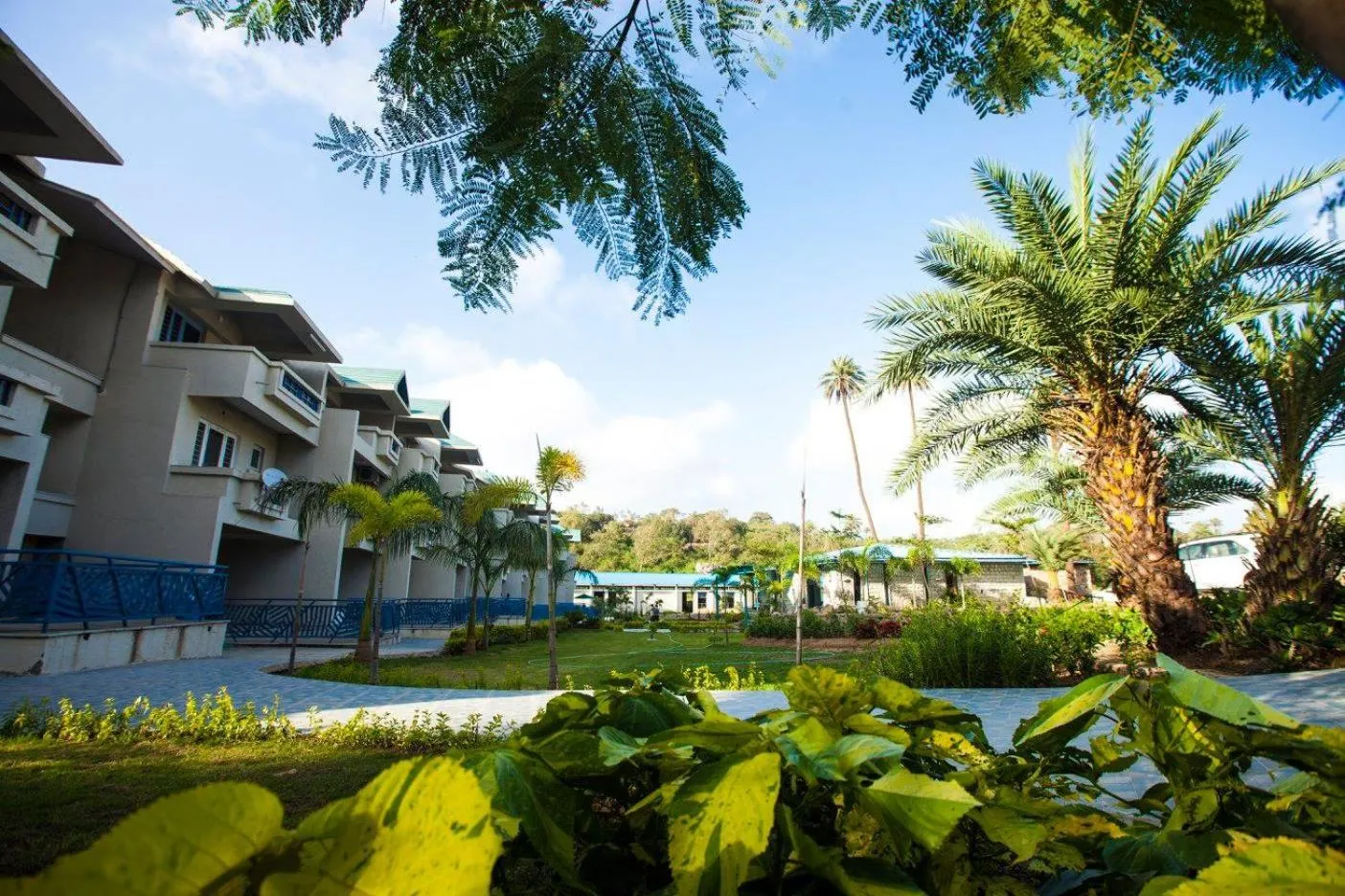 Garden in Hummingbird Resort