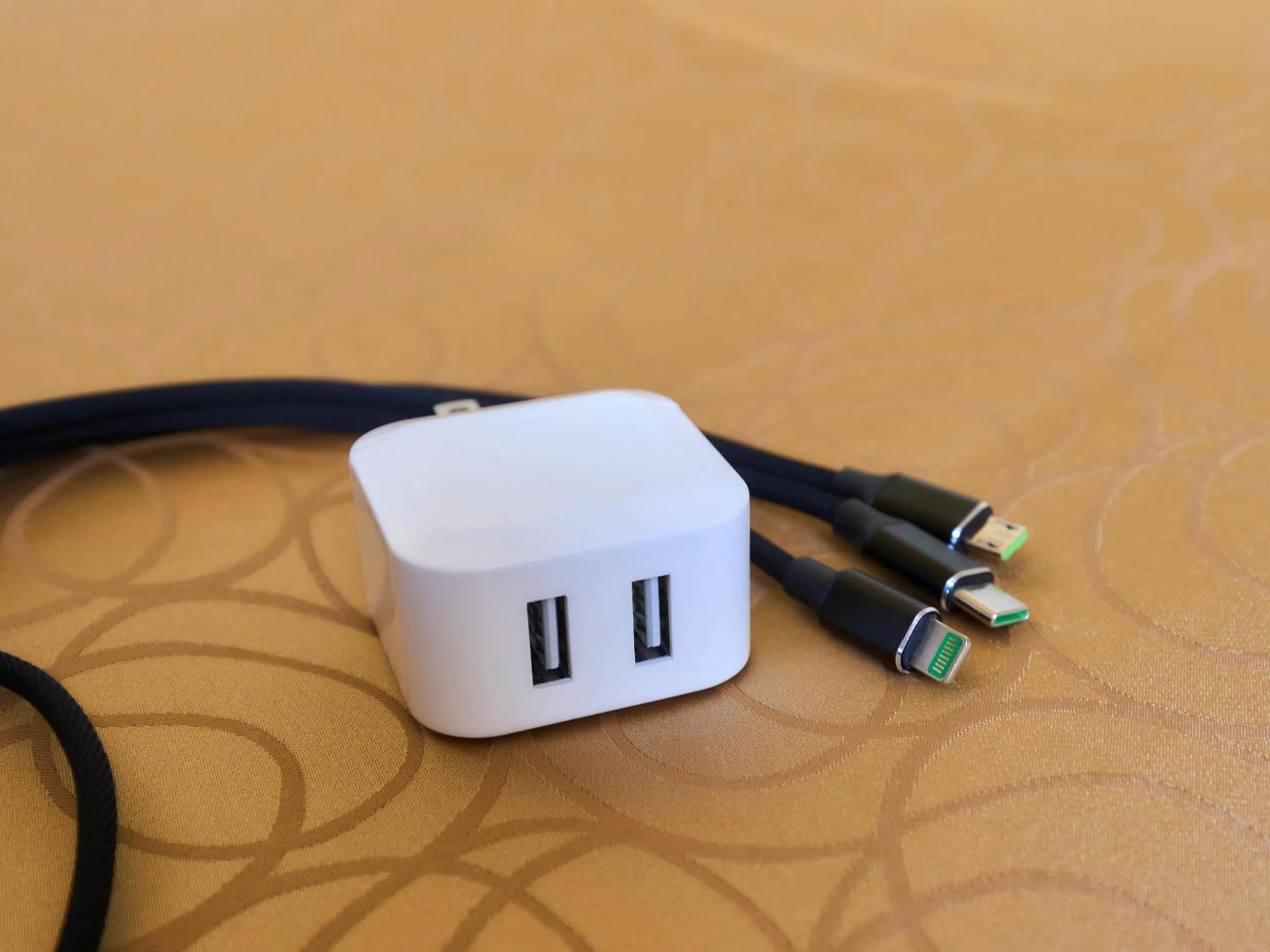 Area and facilities in Minakuchi Century Hotel