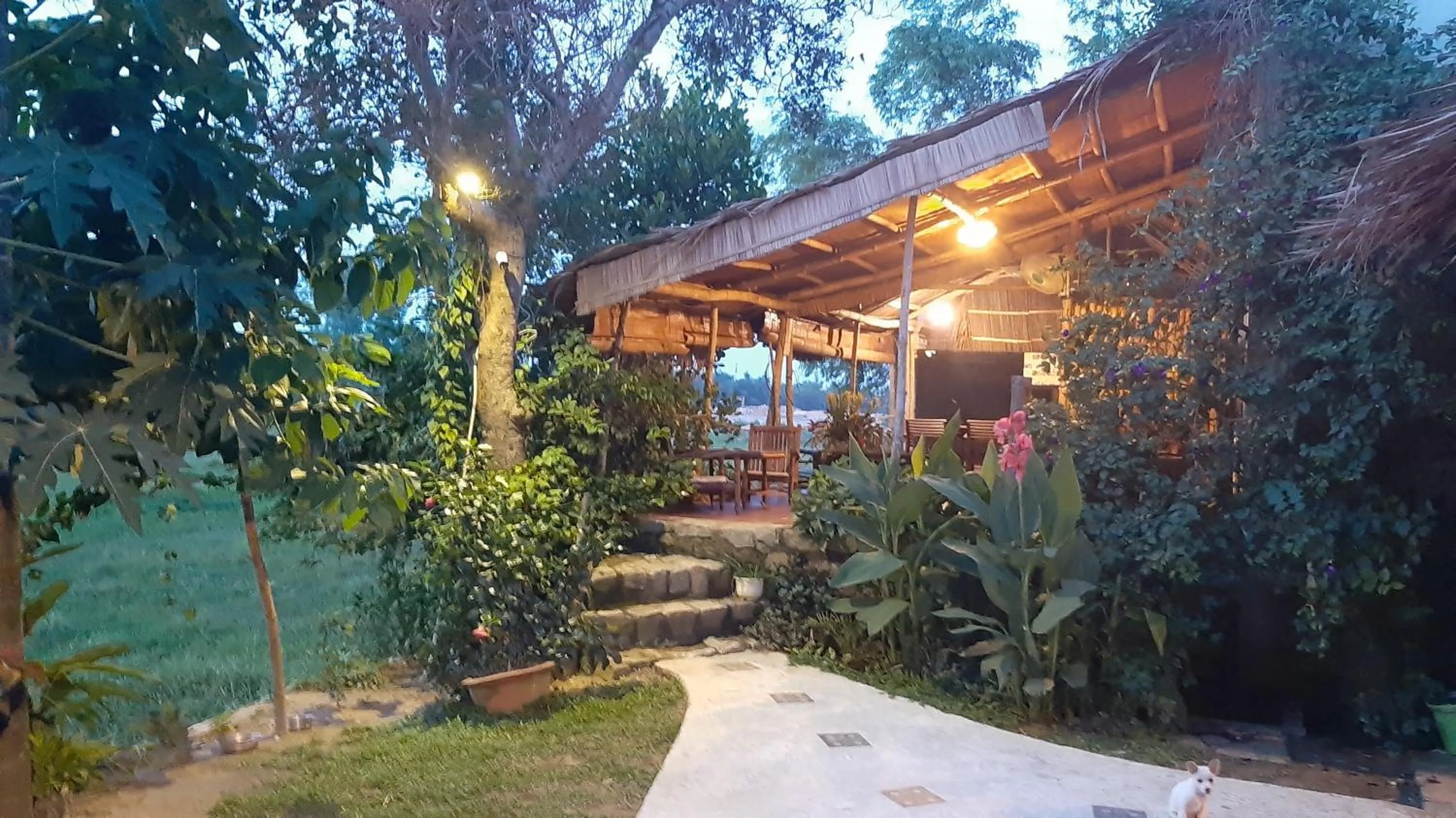 Balcony/Terrace in La Terrazza
