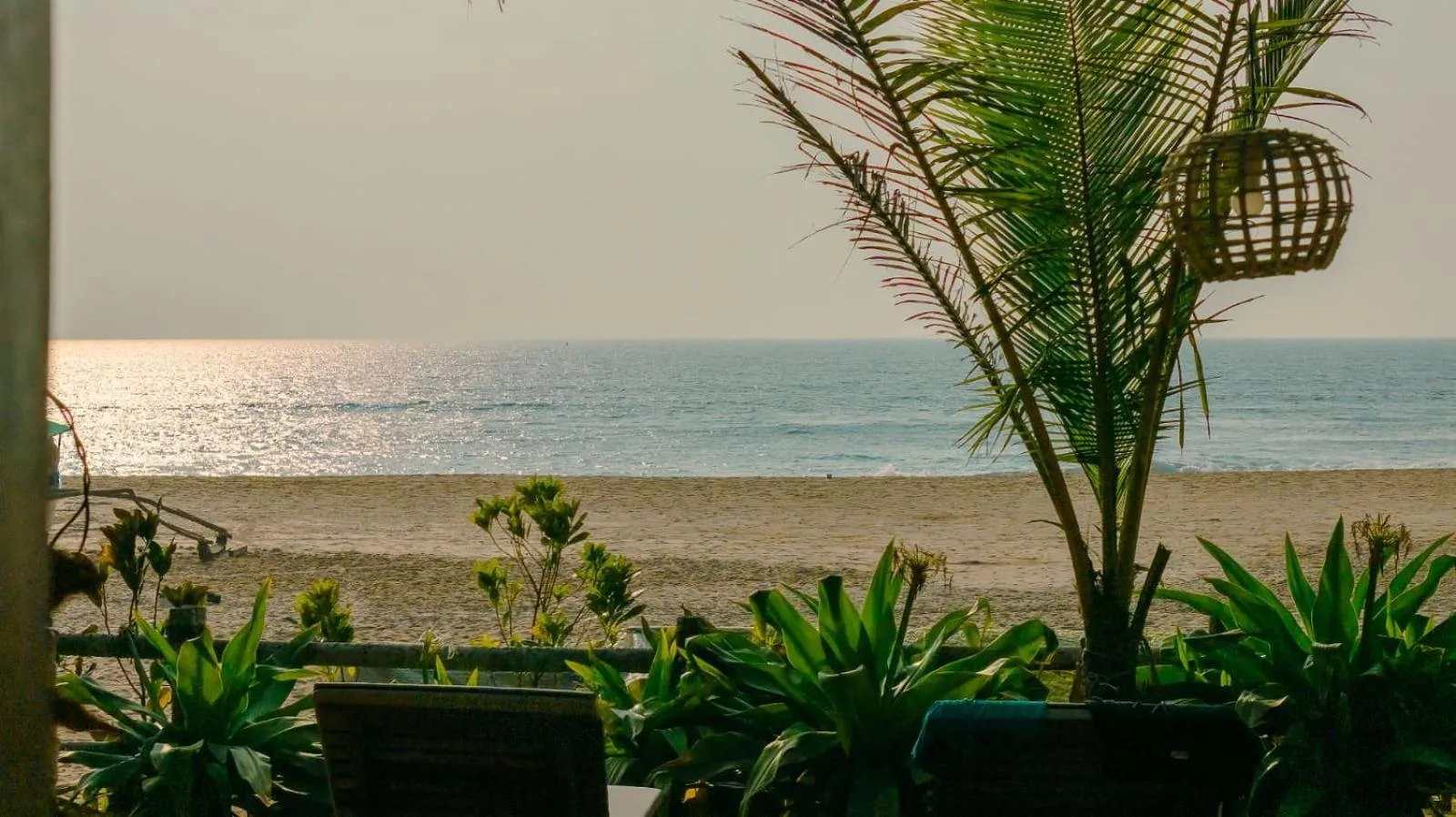 Mariposa Beach Grove