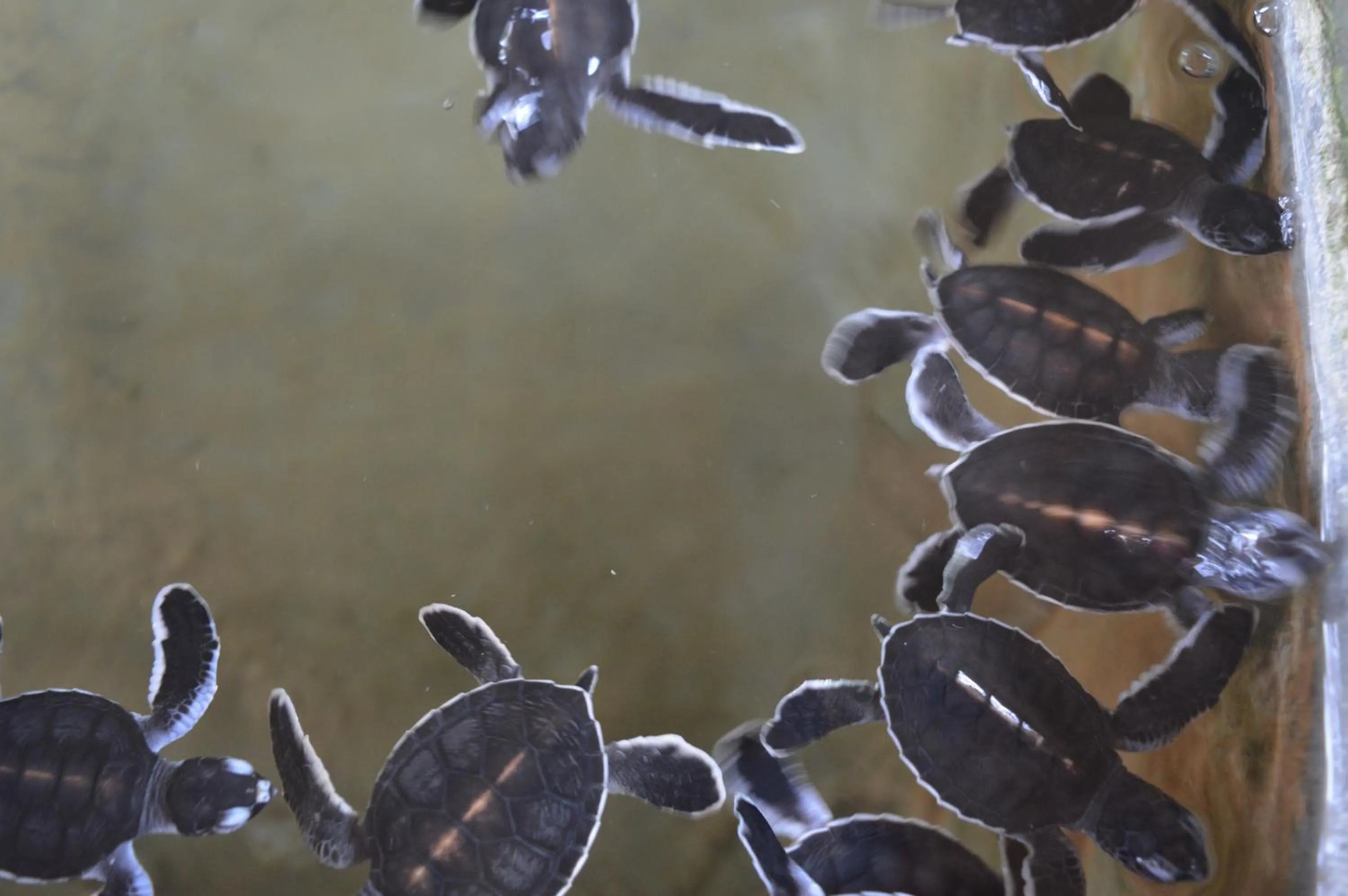 Beach in FEEL Beach Apartments