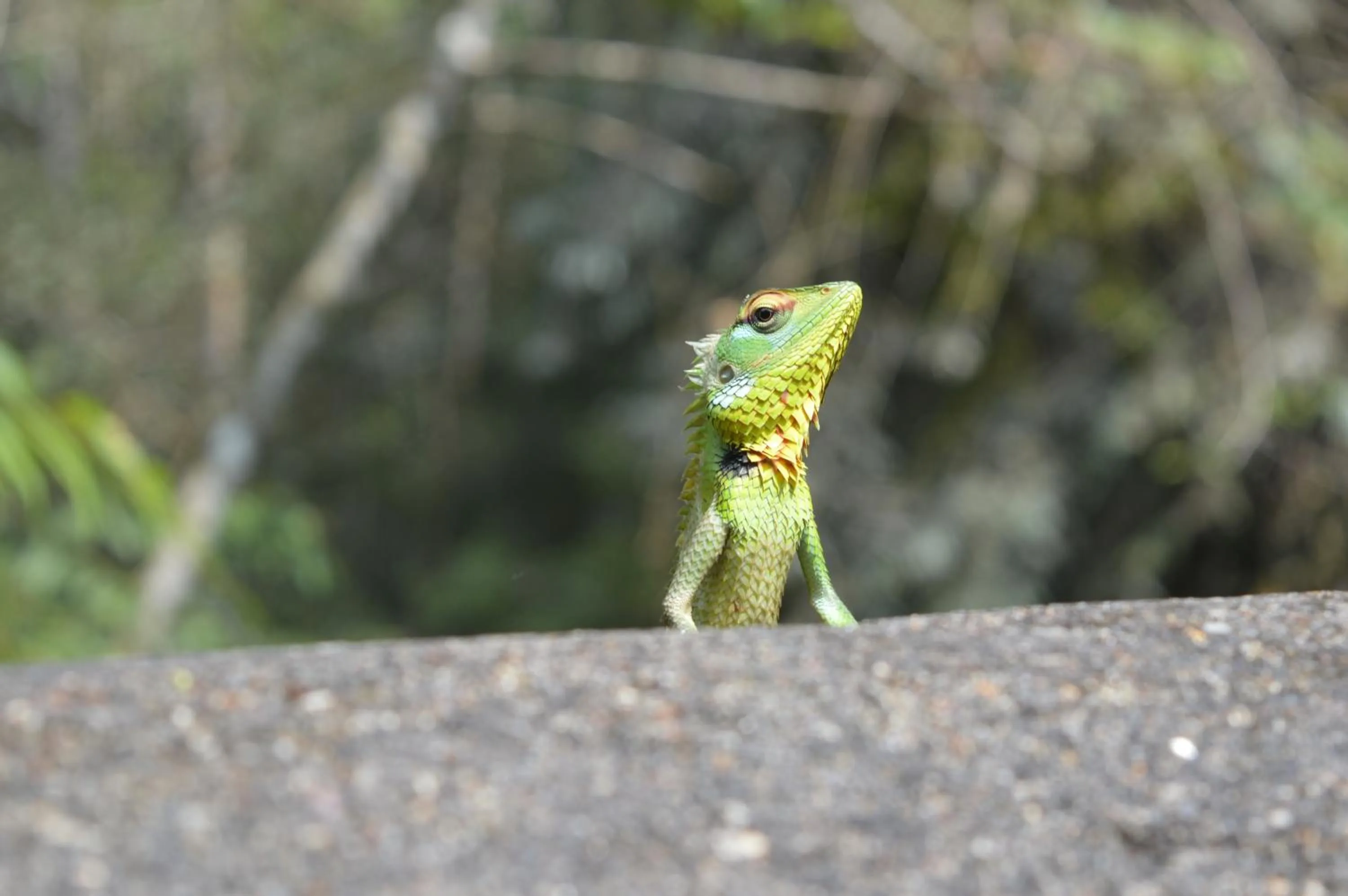 Other in FEEL Beach Apartments