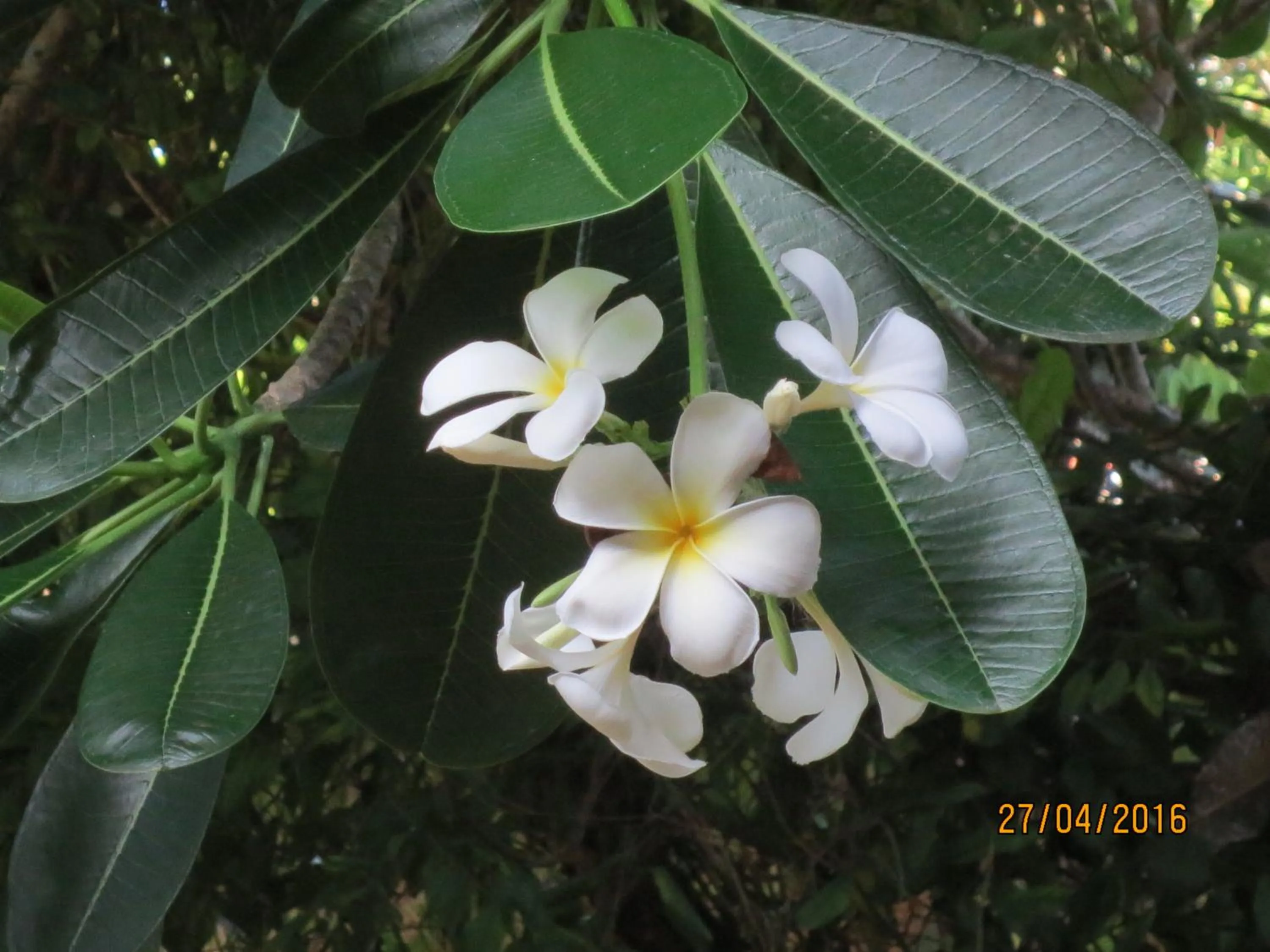 Natural landscape in FEEL Beach Apartments