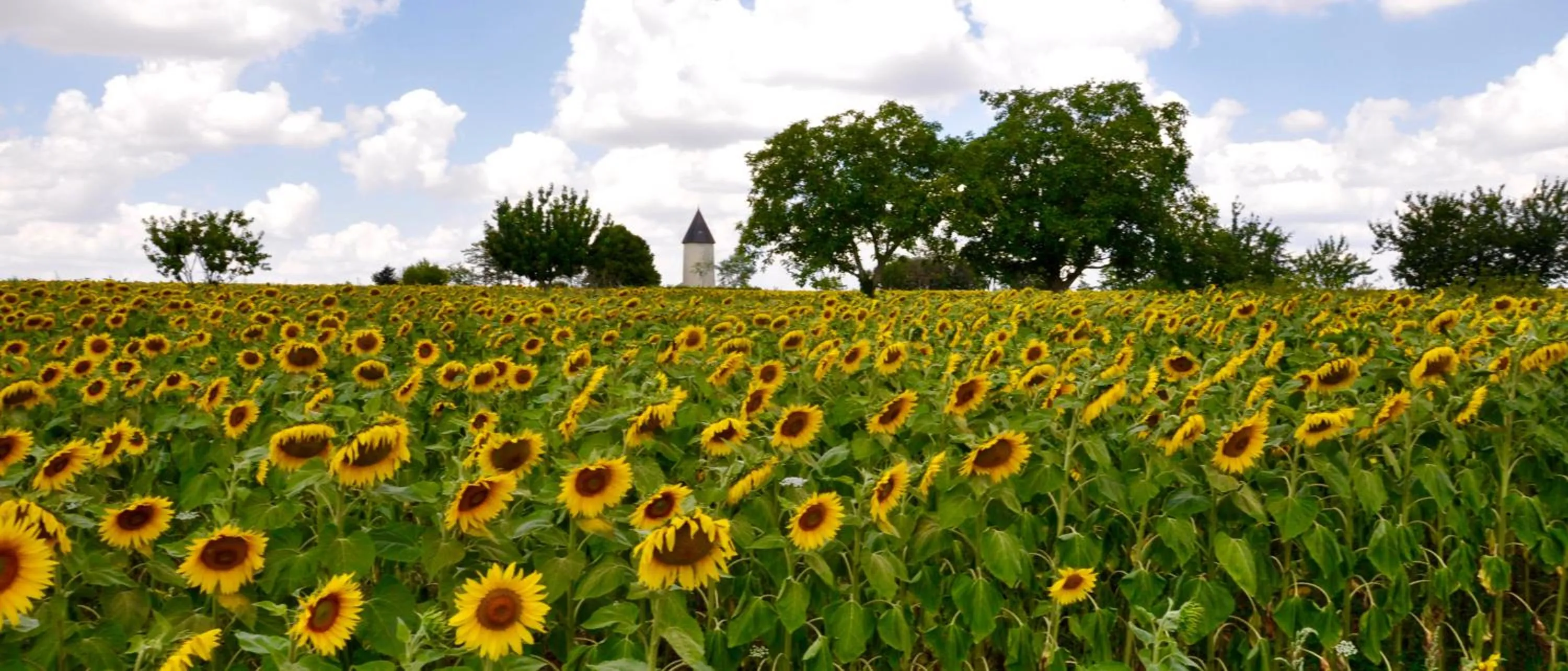 Natural landscape in Chez Fins Bois
