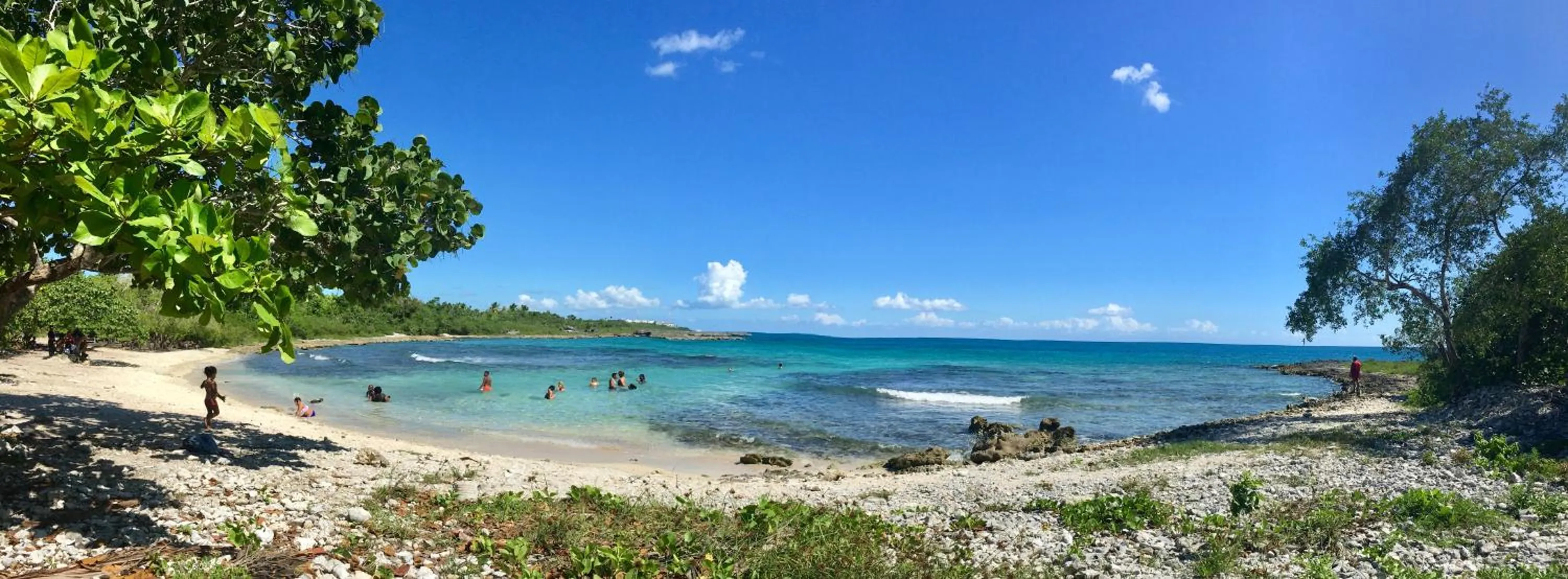 Beach in Albergo El Pulpo, Bayahíbe