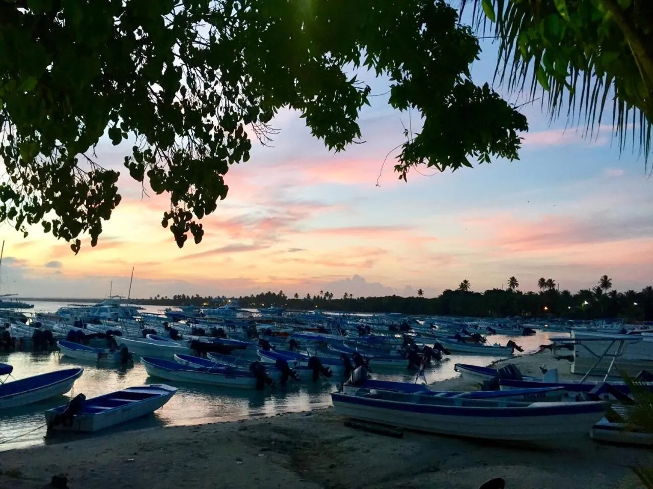 Sunset in Albergo El Pulpo, Bayahíbe