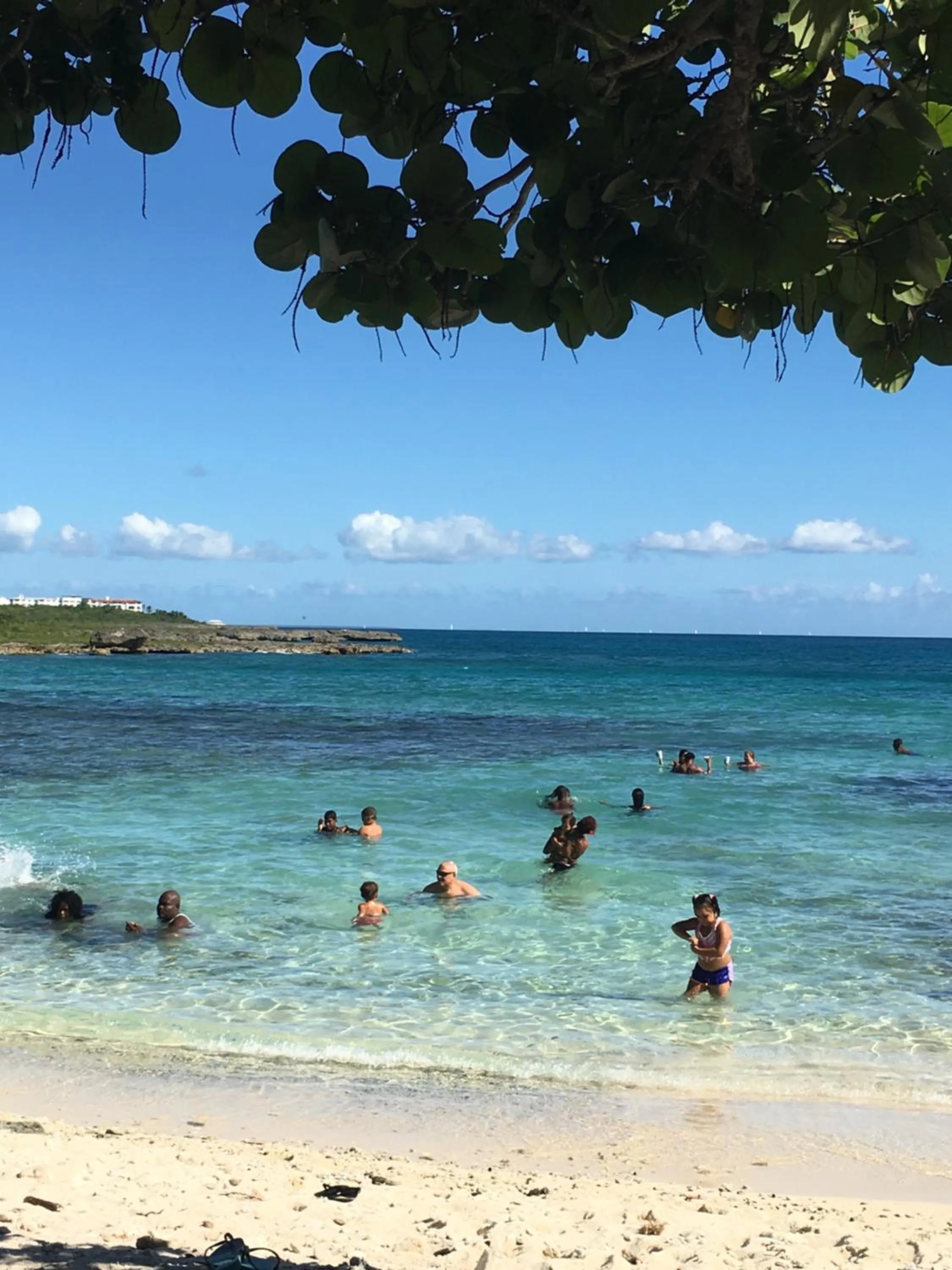 Beach in Albergo El Pulpo, Bayahíbe