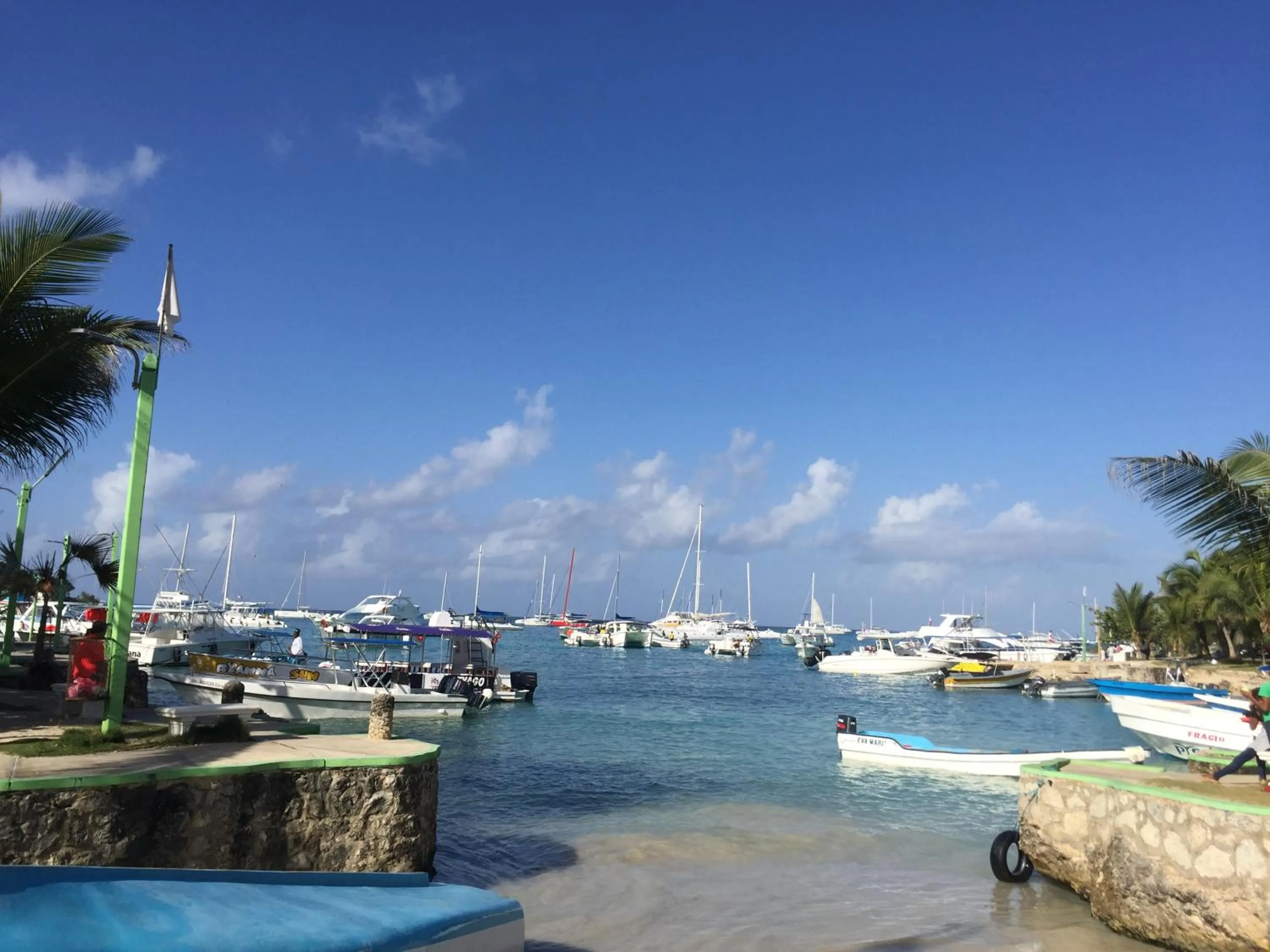 Beach in Albergo El Pulpo, Bayahíbe
