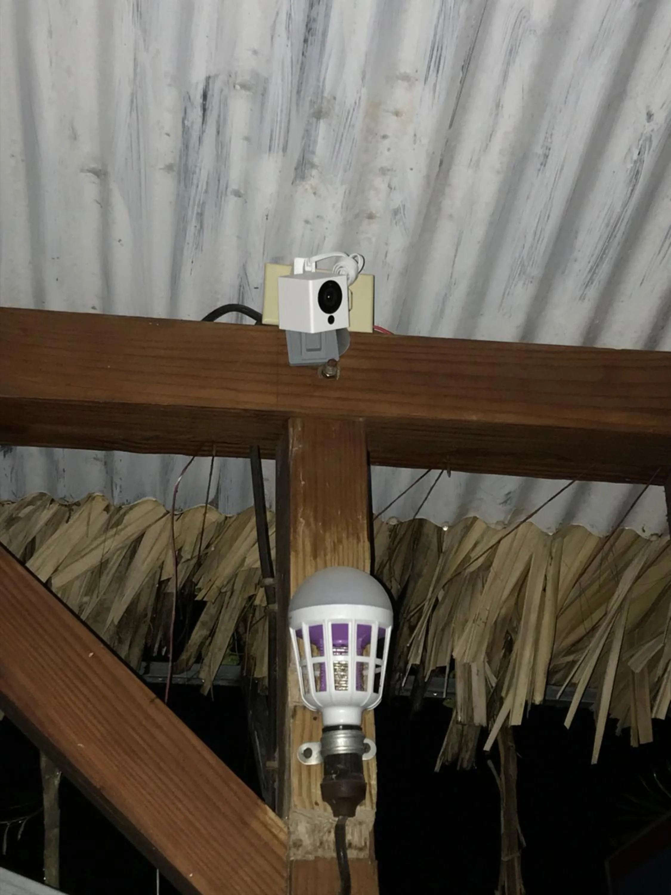 Property building in Albergo El Pulpo, Bayahíbe