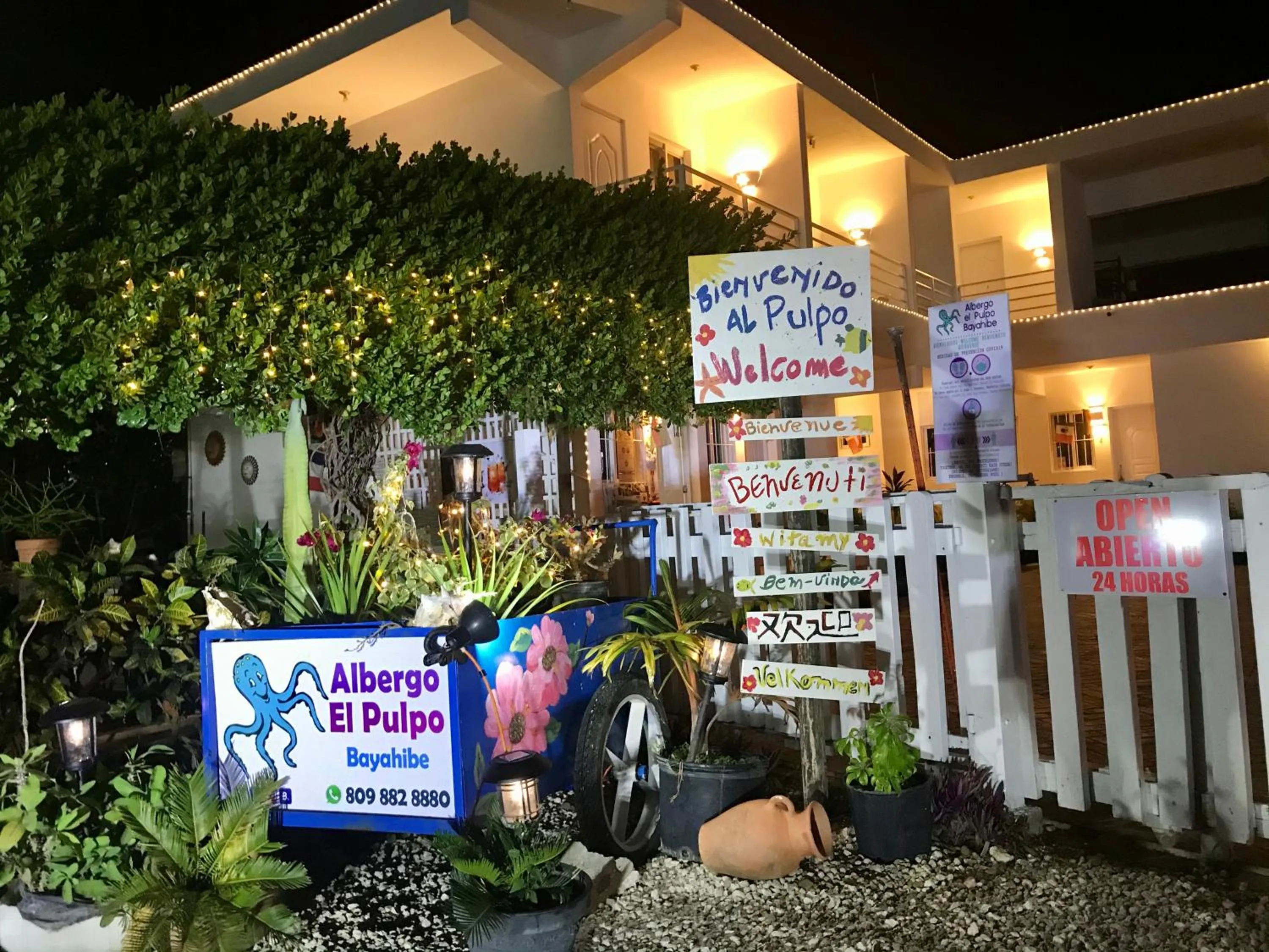 Garden in Albergo El Pulpo, Bayahíbe