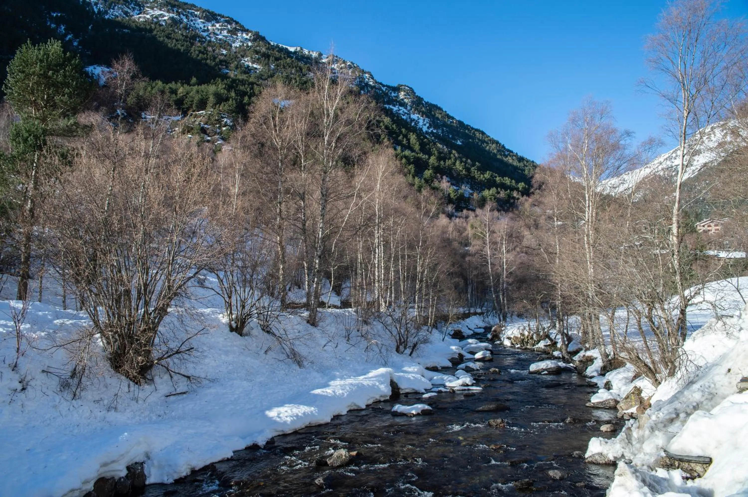 Skiing in Pierre & Vacances Aparthotel La Tulipa