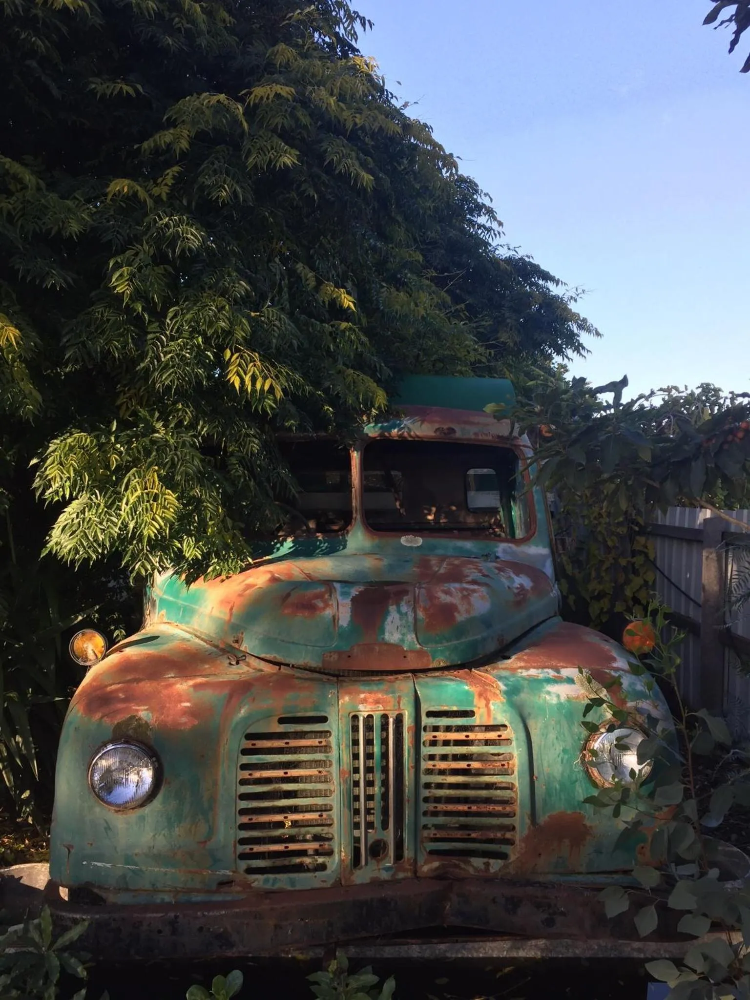 Property building in Little River Bed and Breakfast