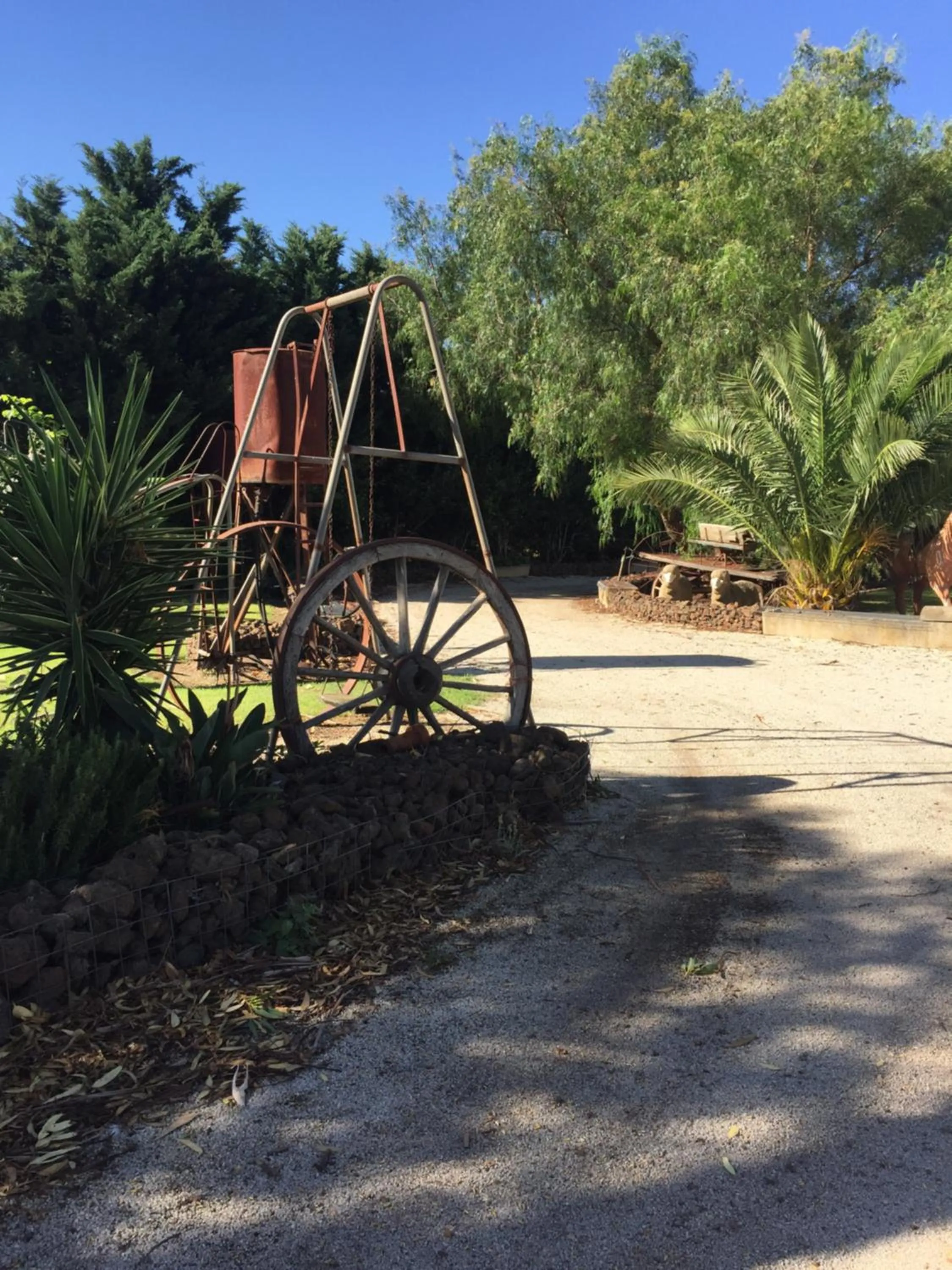 Garden in Little River Bed and Breakfast